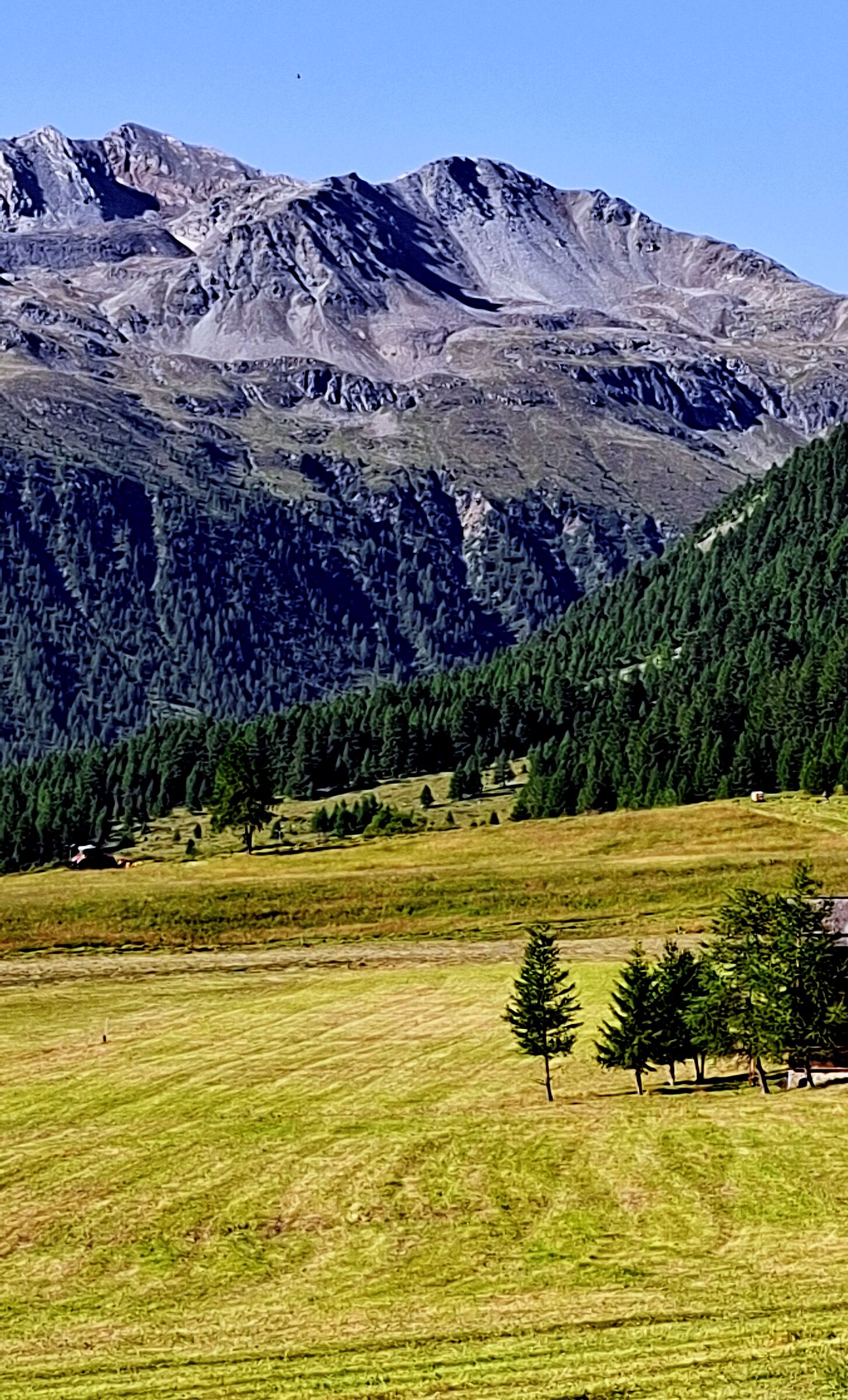 Che pace!