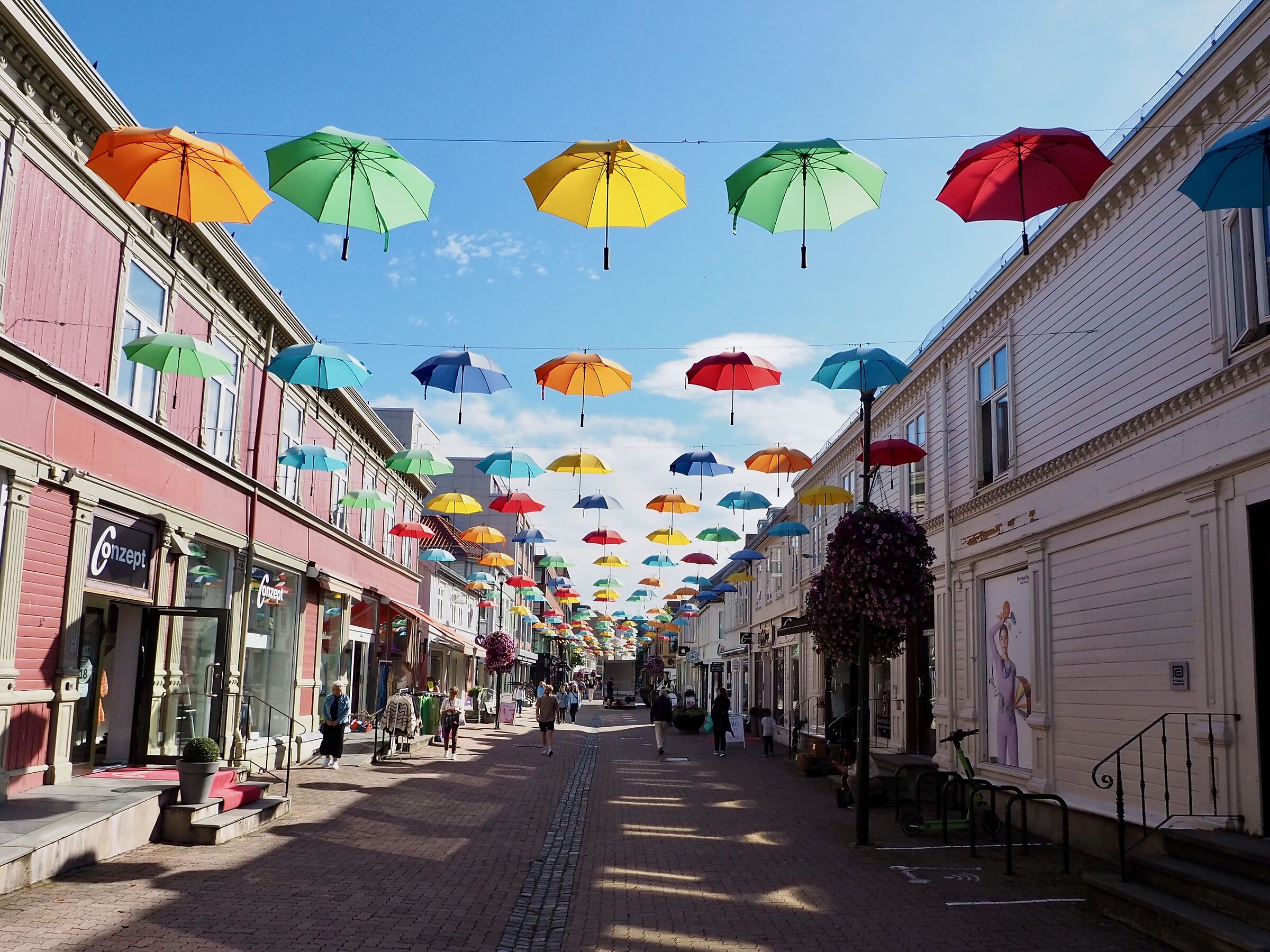 An explosion of colors