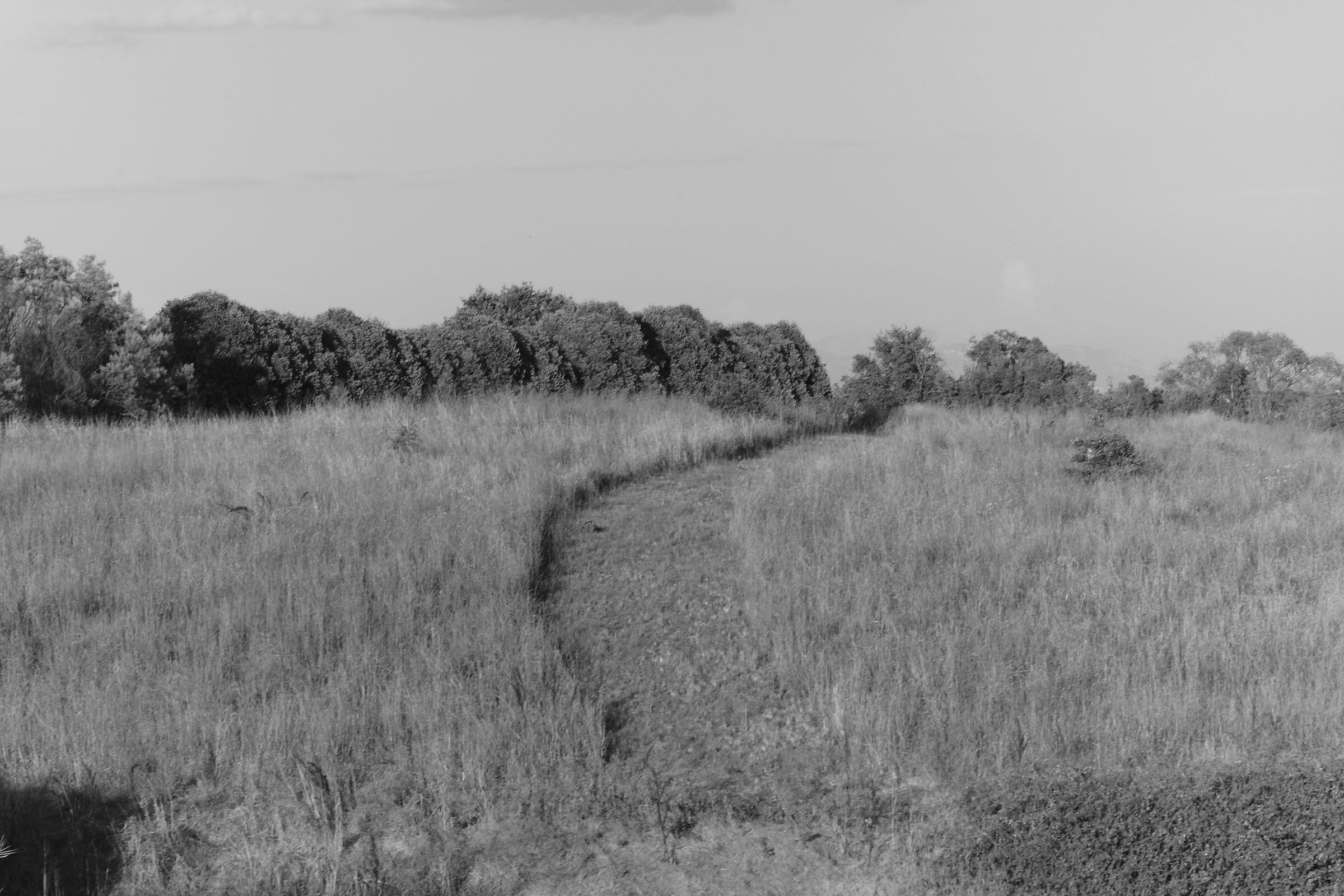 CASETTA MATTEI ROMA 2