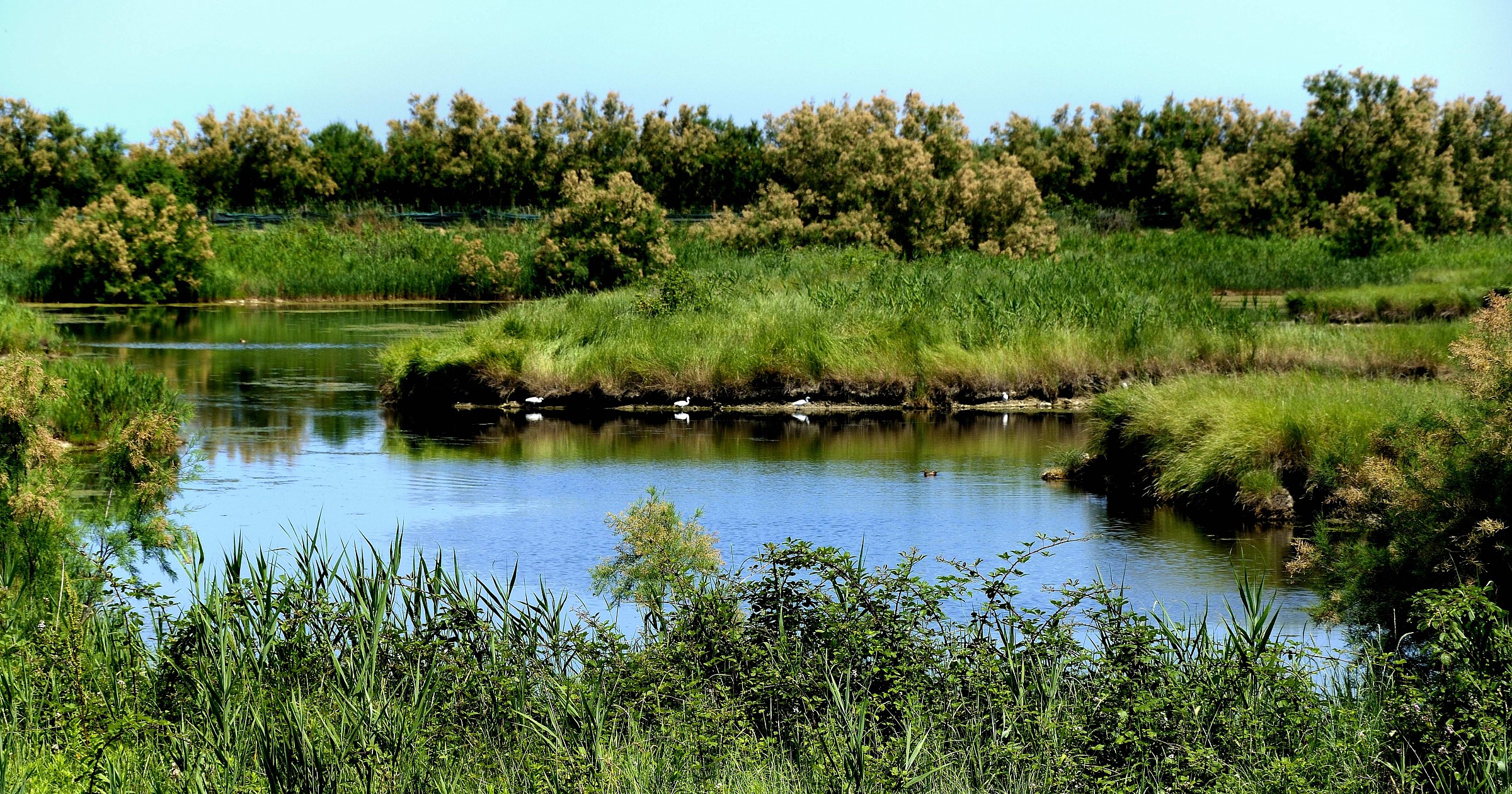 Parco del Delta del Po