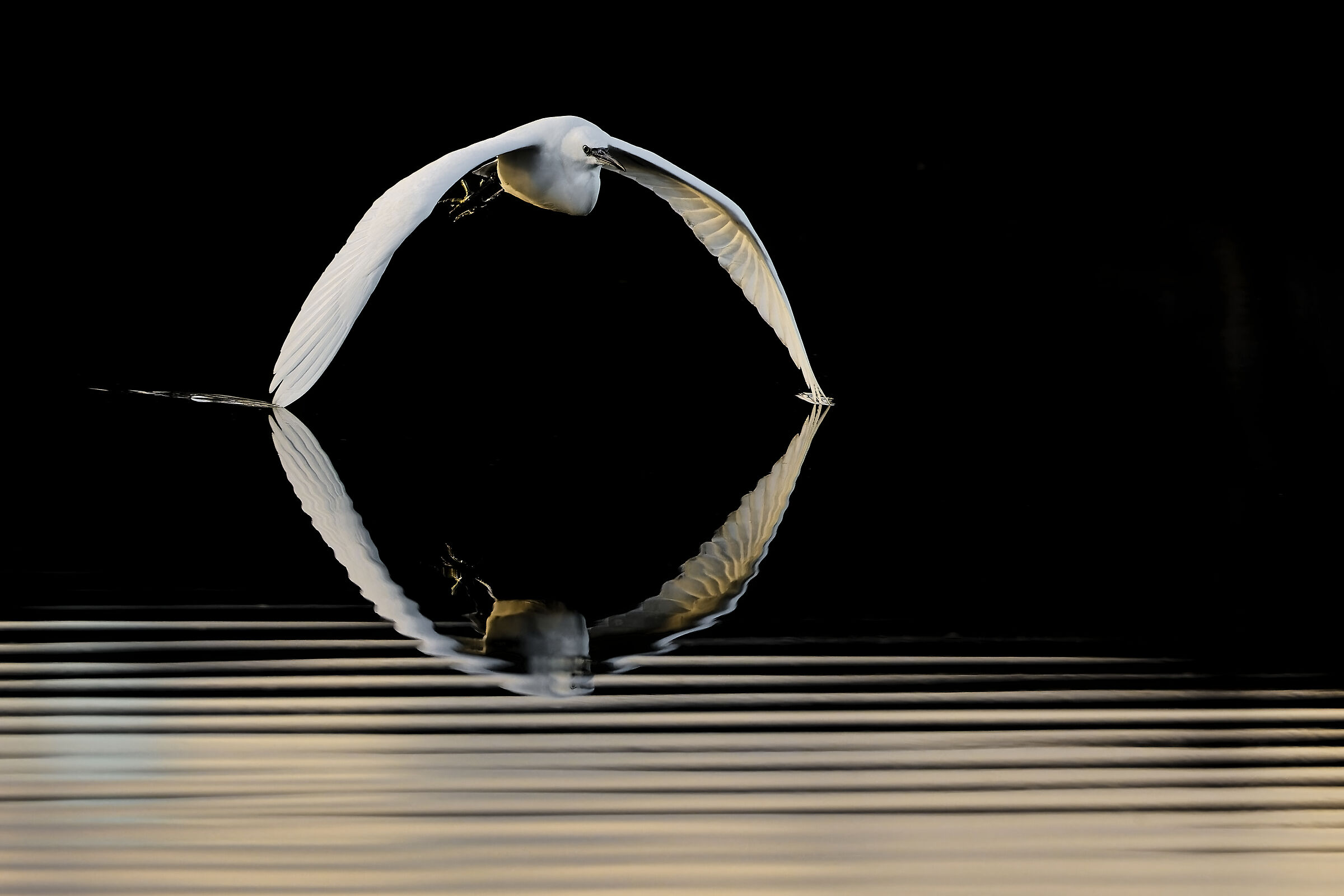 Touching the surface