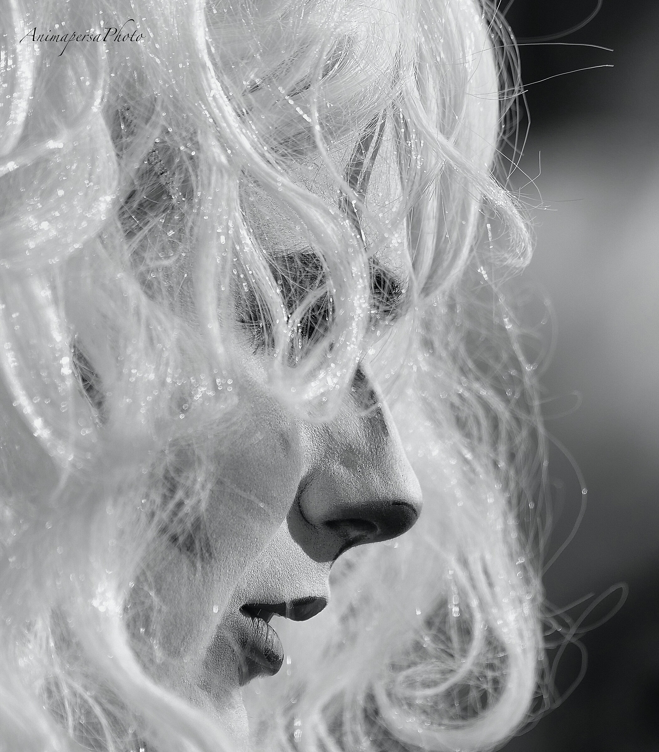 Viareggio, il carnevale