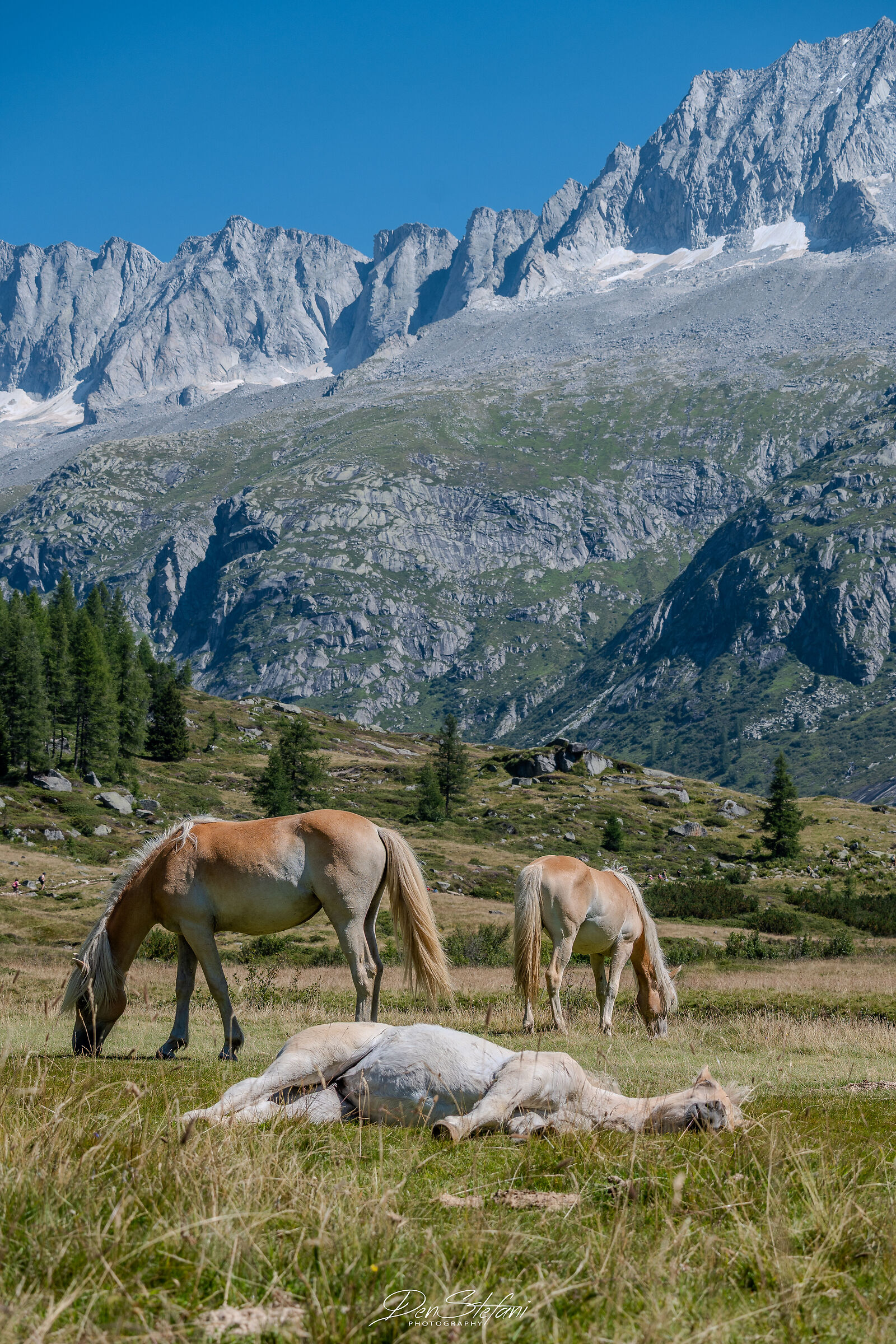 Val di Fumo