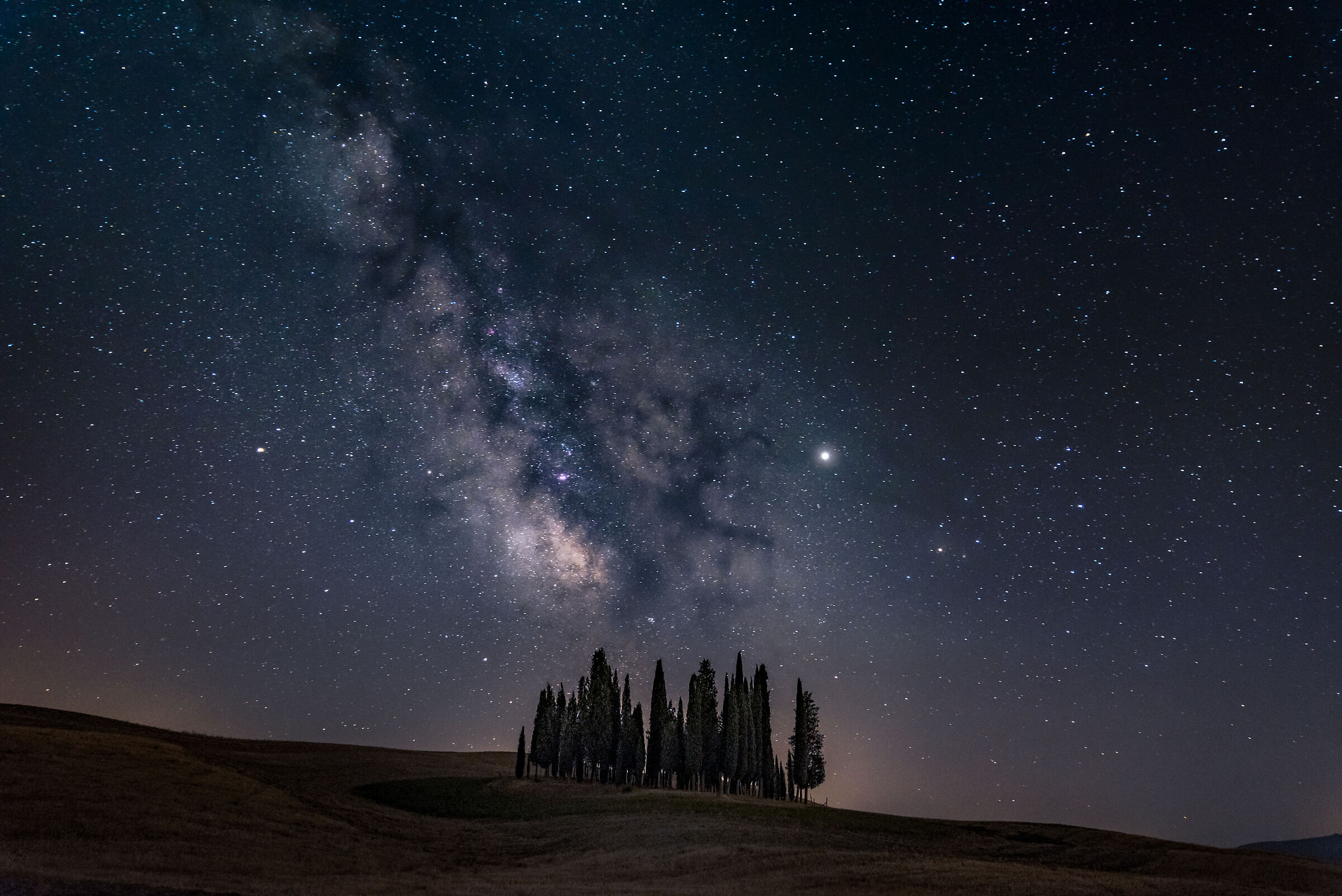 I Cipressi della Val d'Orcia