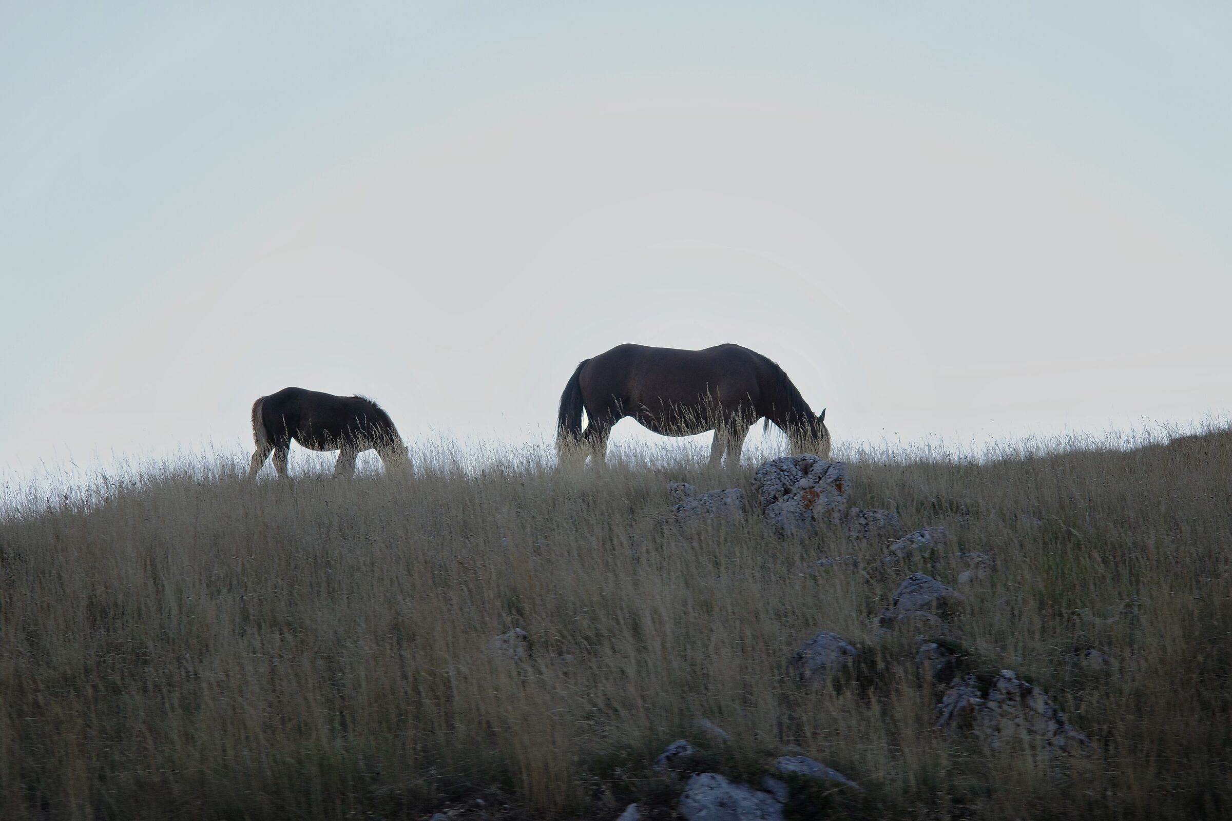 Campo Imperatore