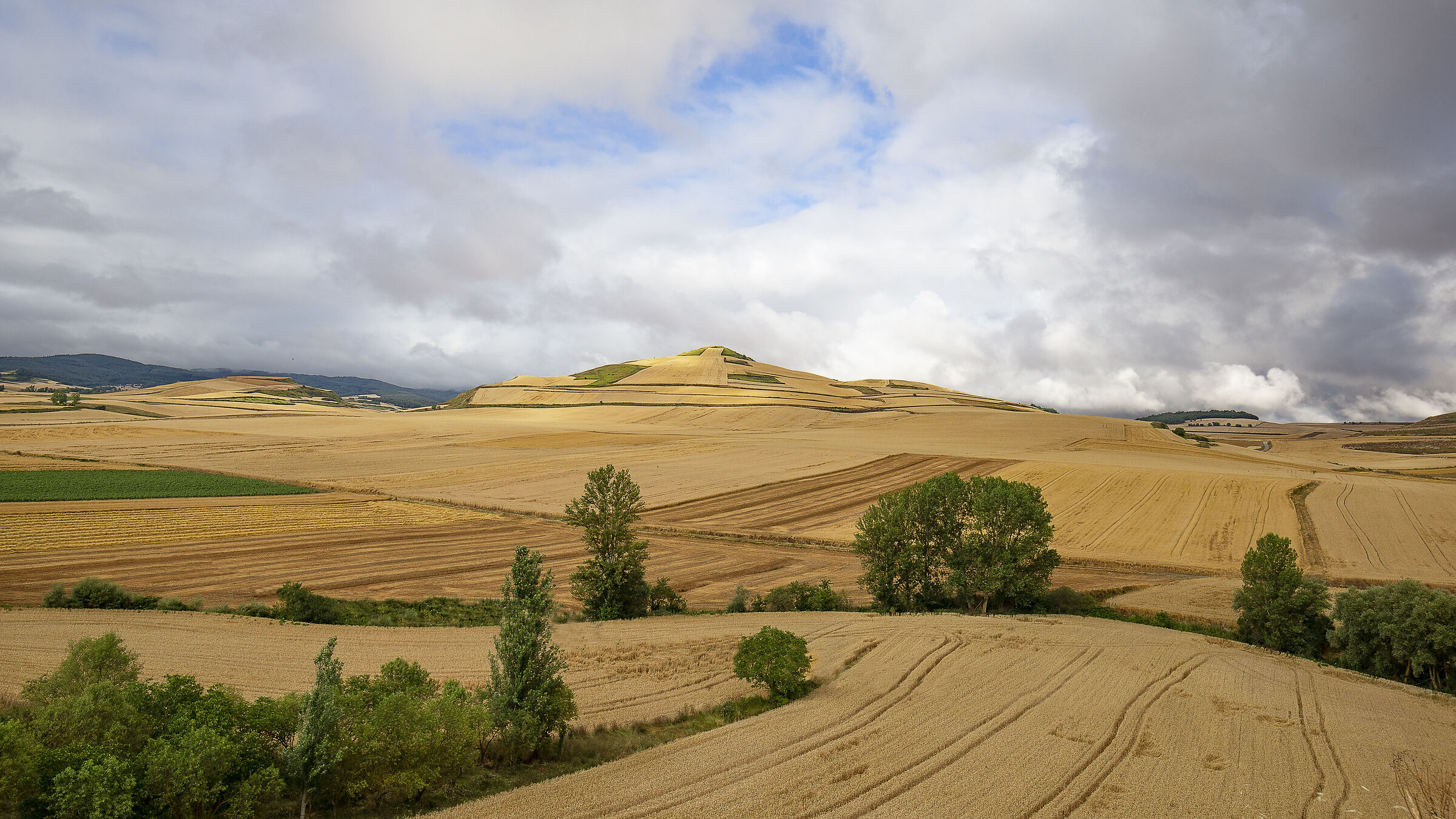 Sul Cammino per Compostela