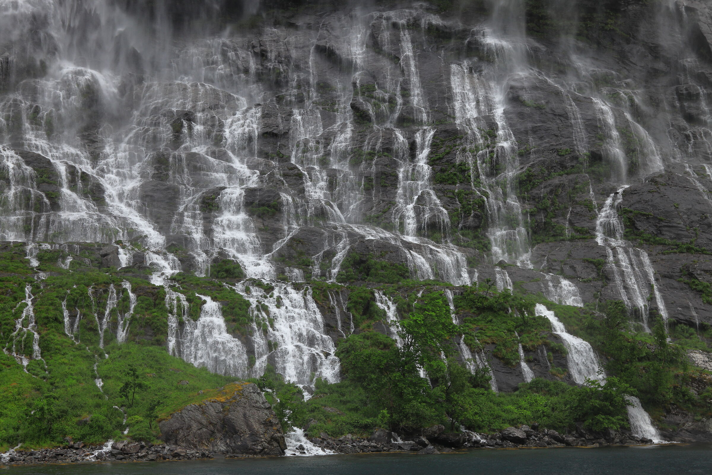 Fjords 5