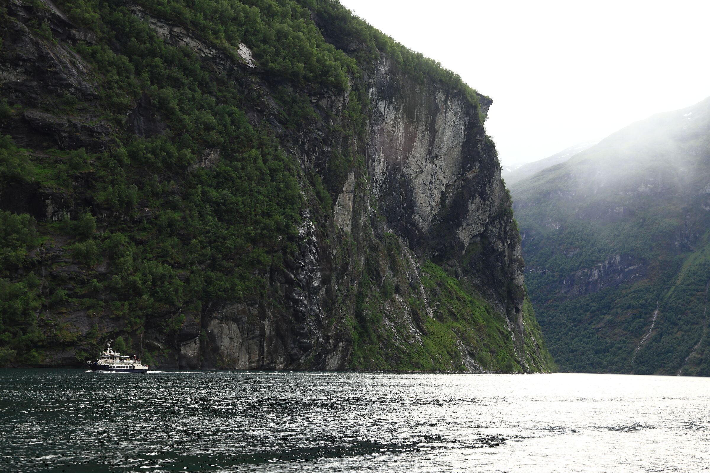 Fjords 8