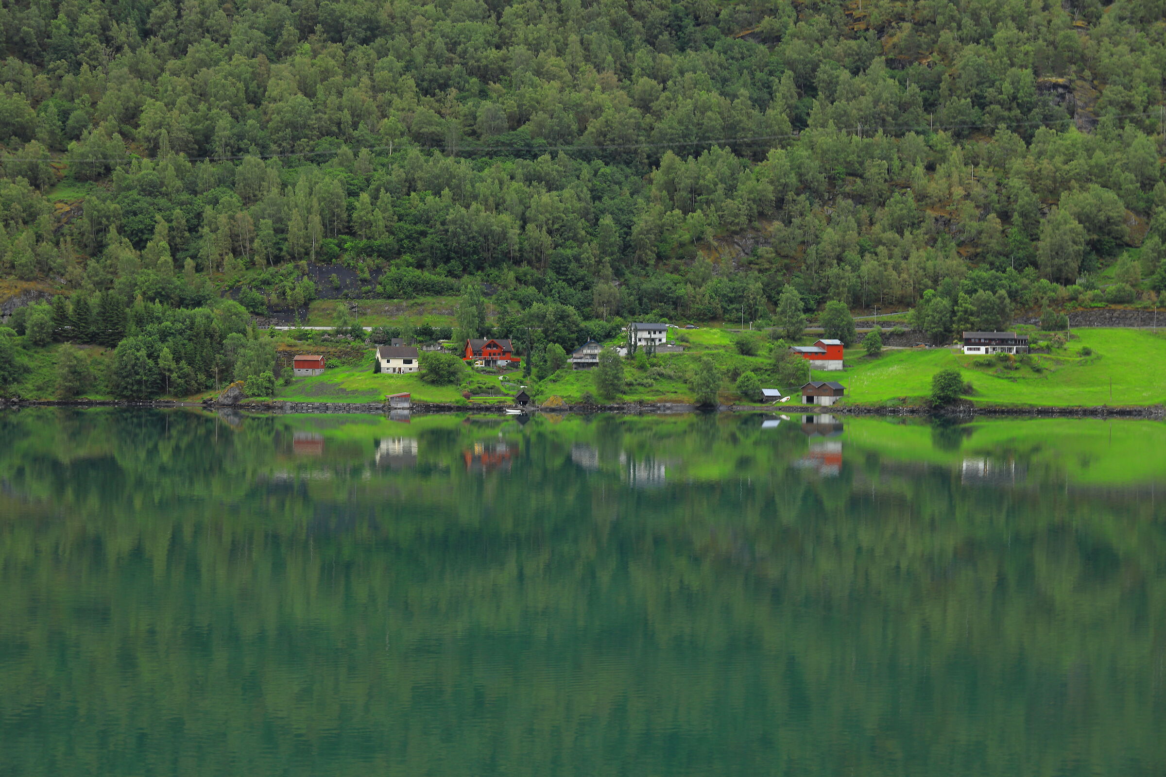 Fjords 11