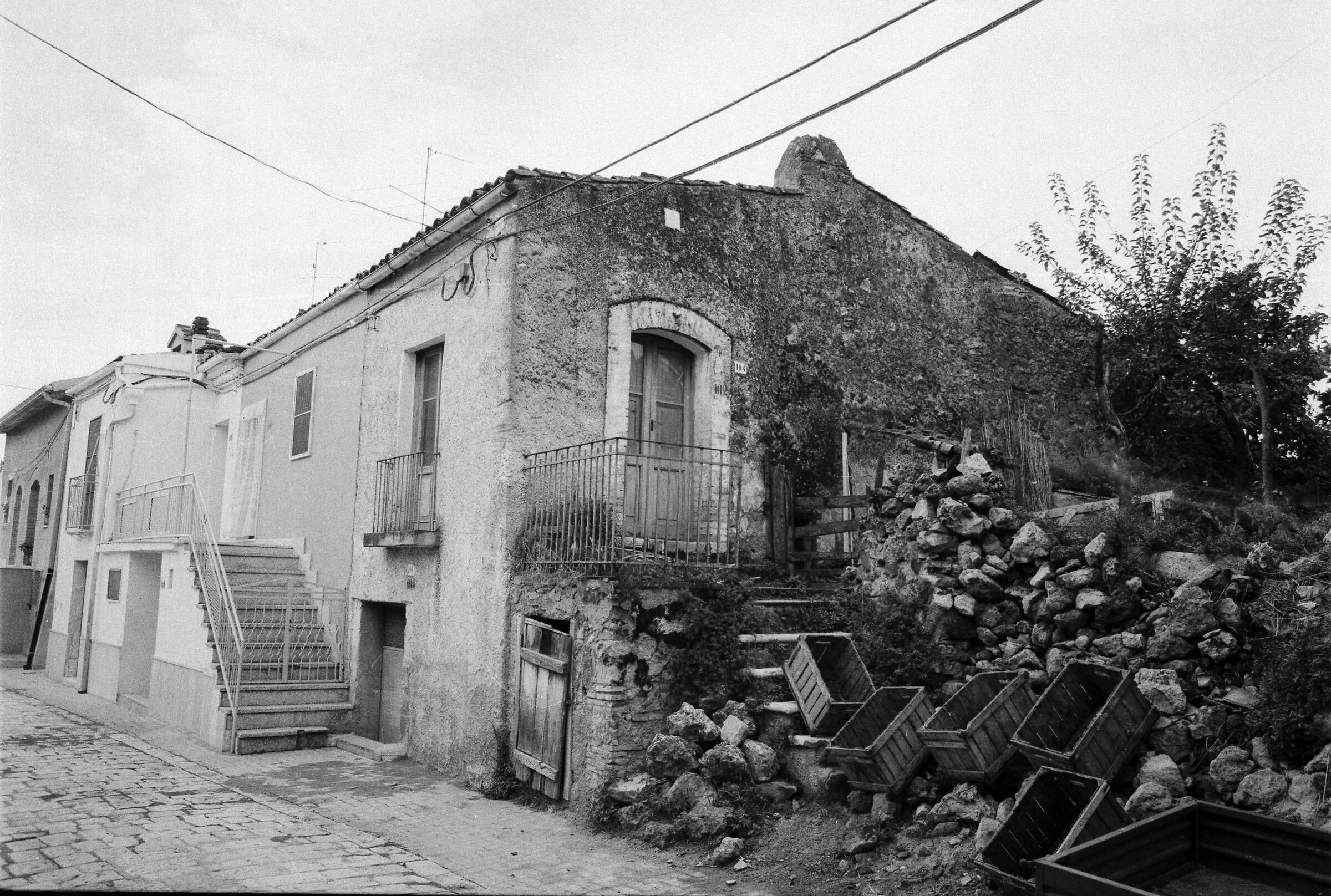 1981 fp4 atella pz canon ae1 cassette raccolta uva
