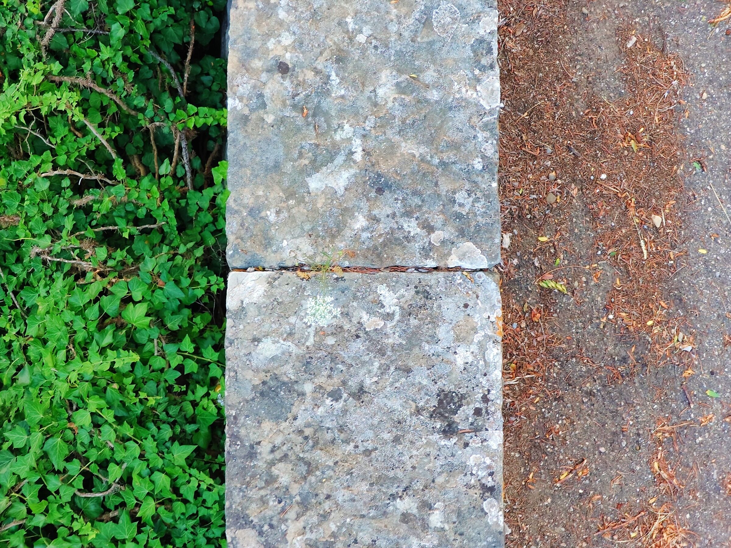 Natural Italy on the road