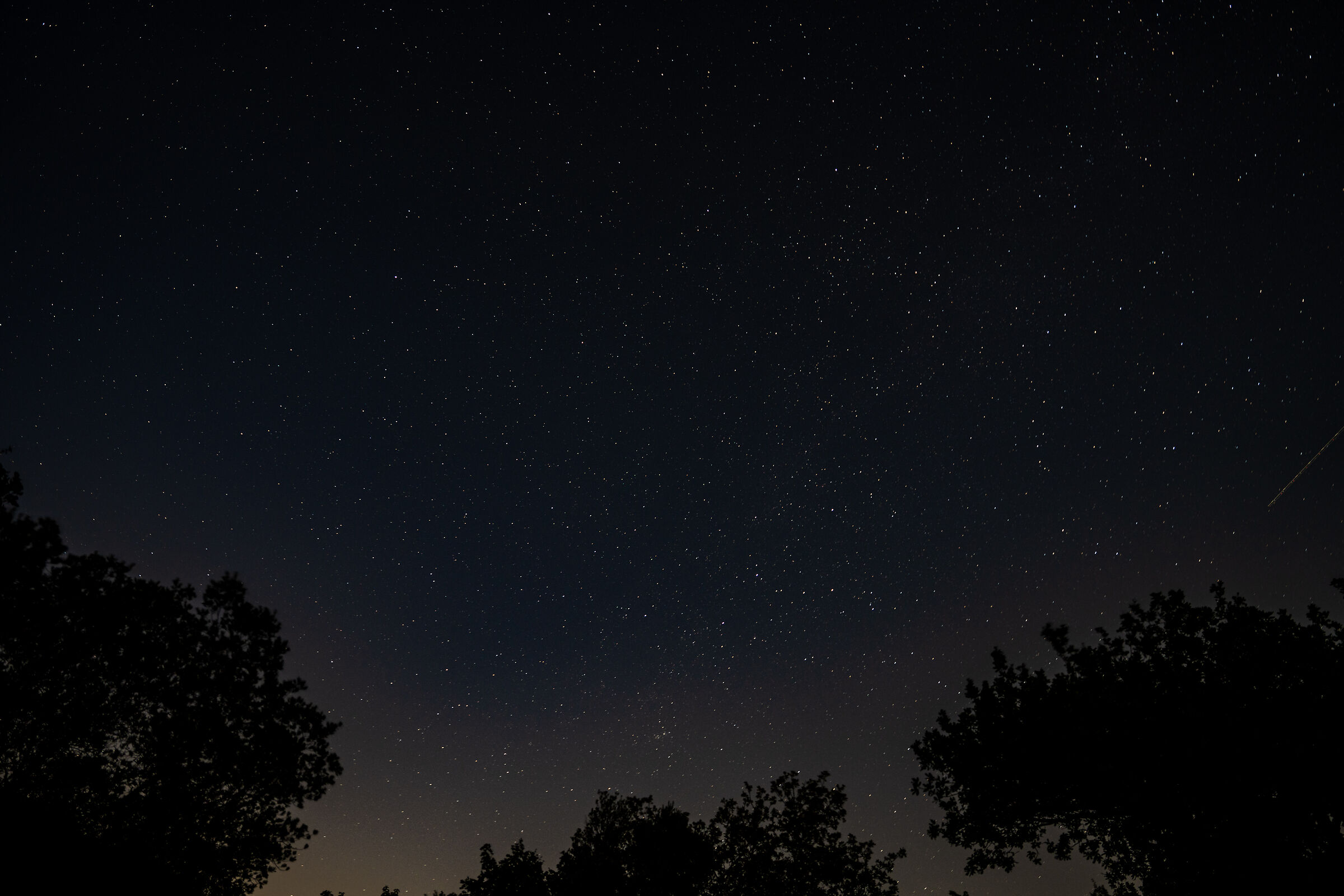 The starry night of San Lorenzo
