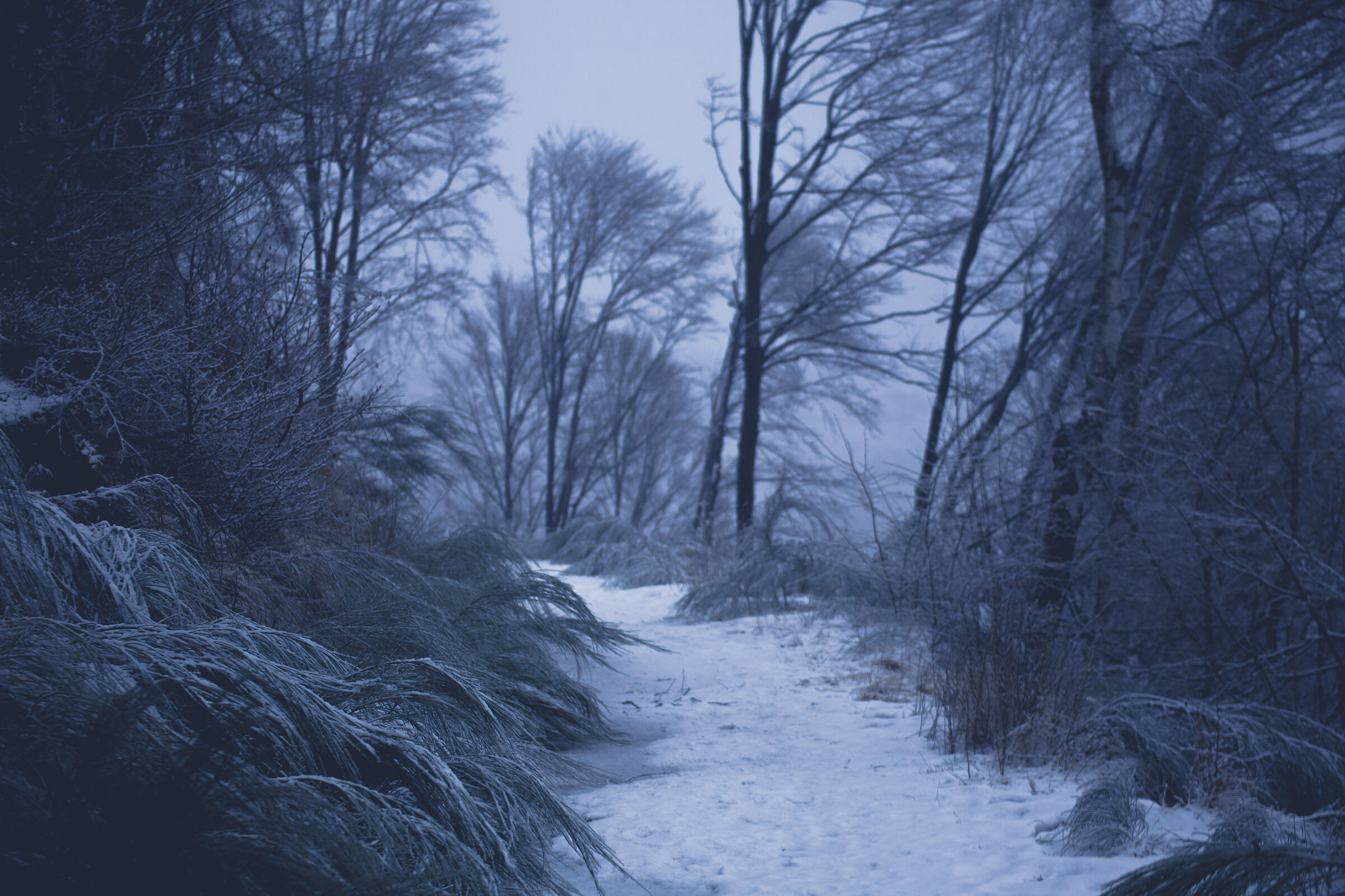 Blue hour in the storm