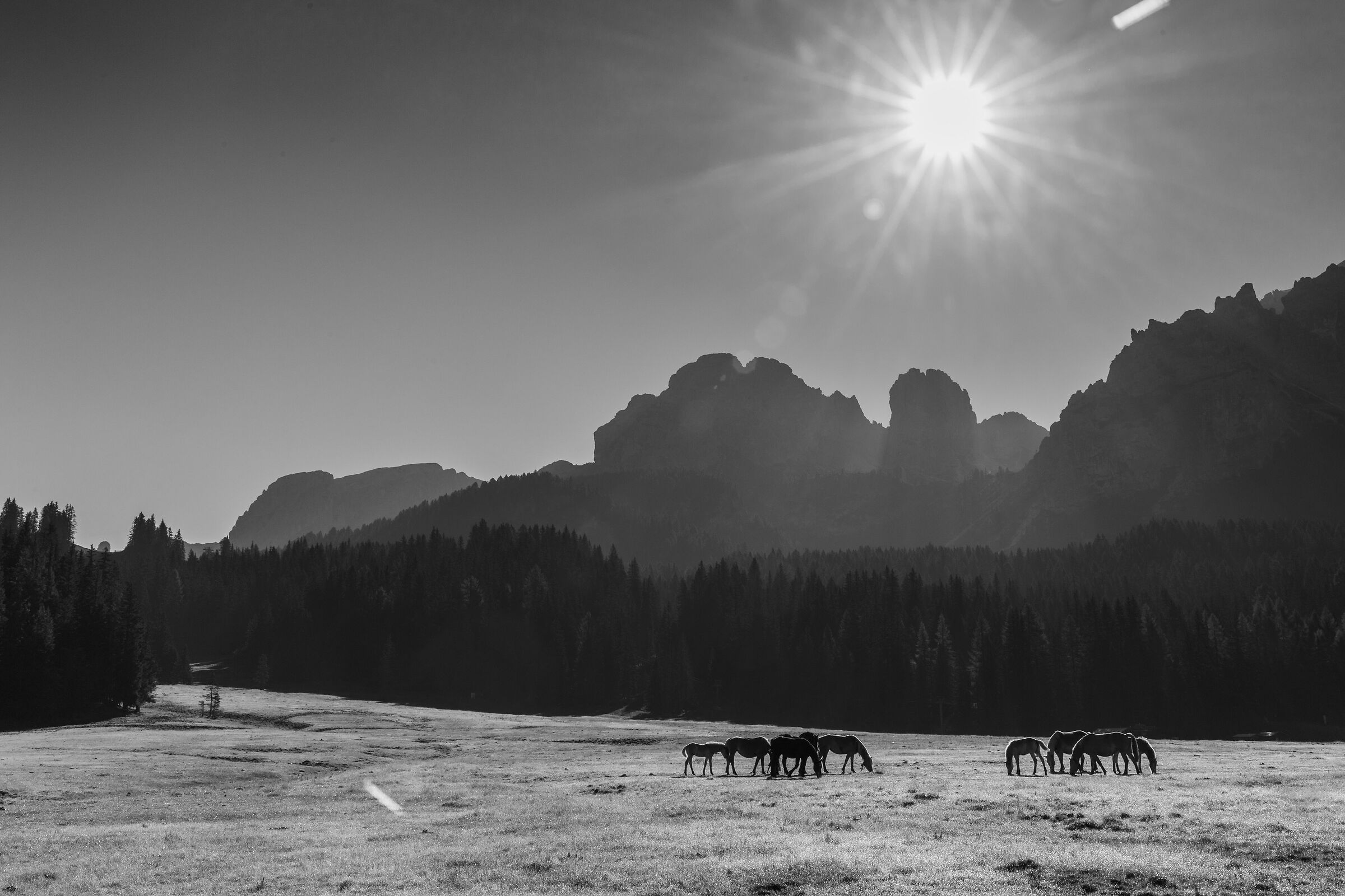 The Dolomites like the old Far West