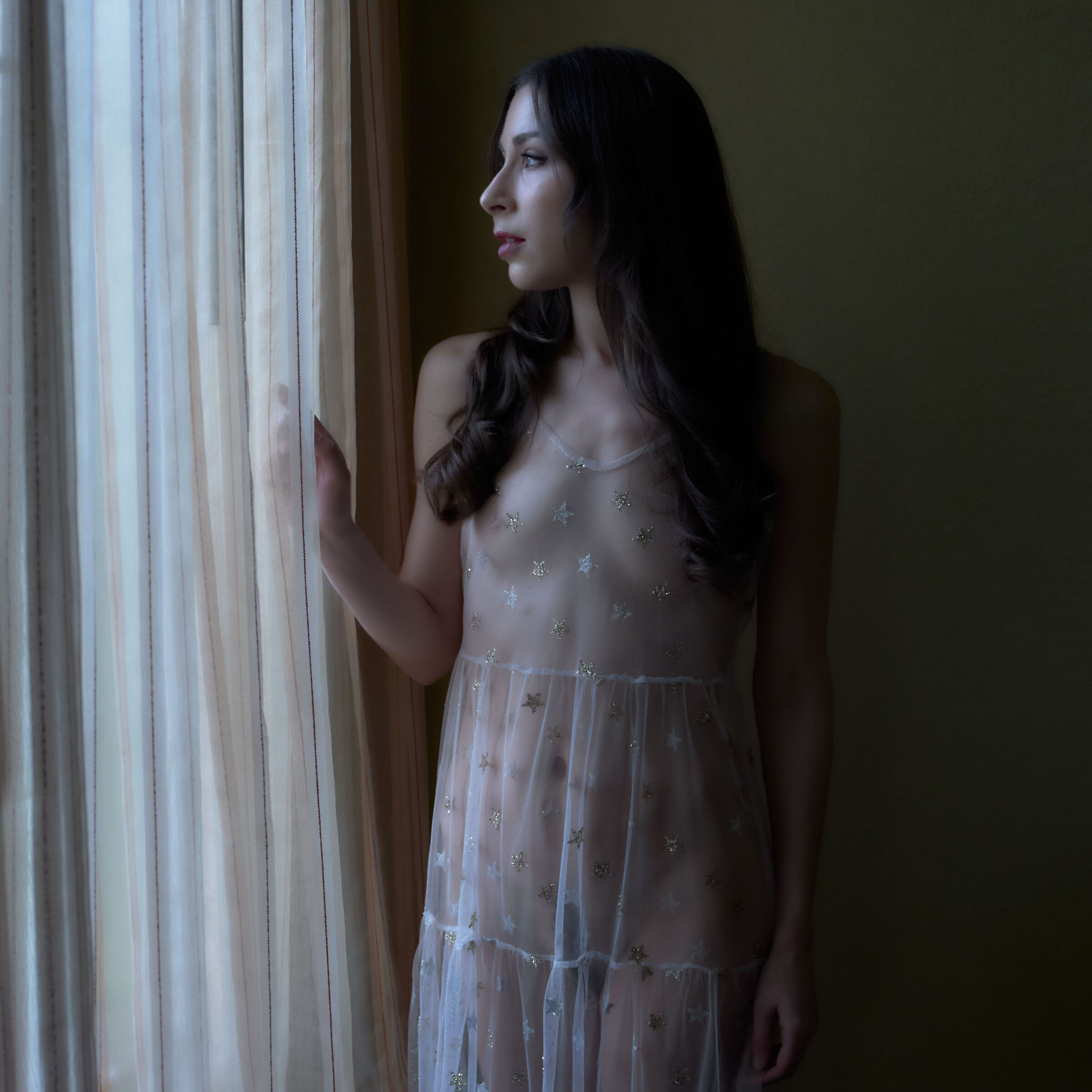 Floofie by Window Light