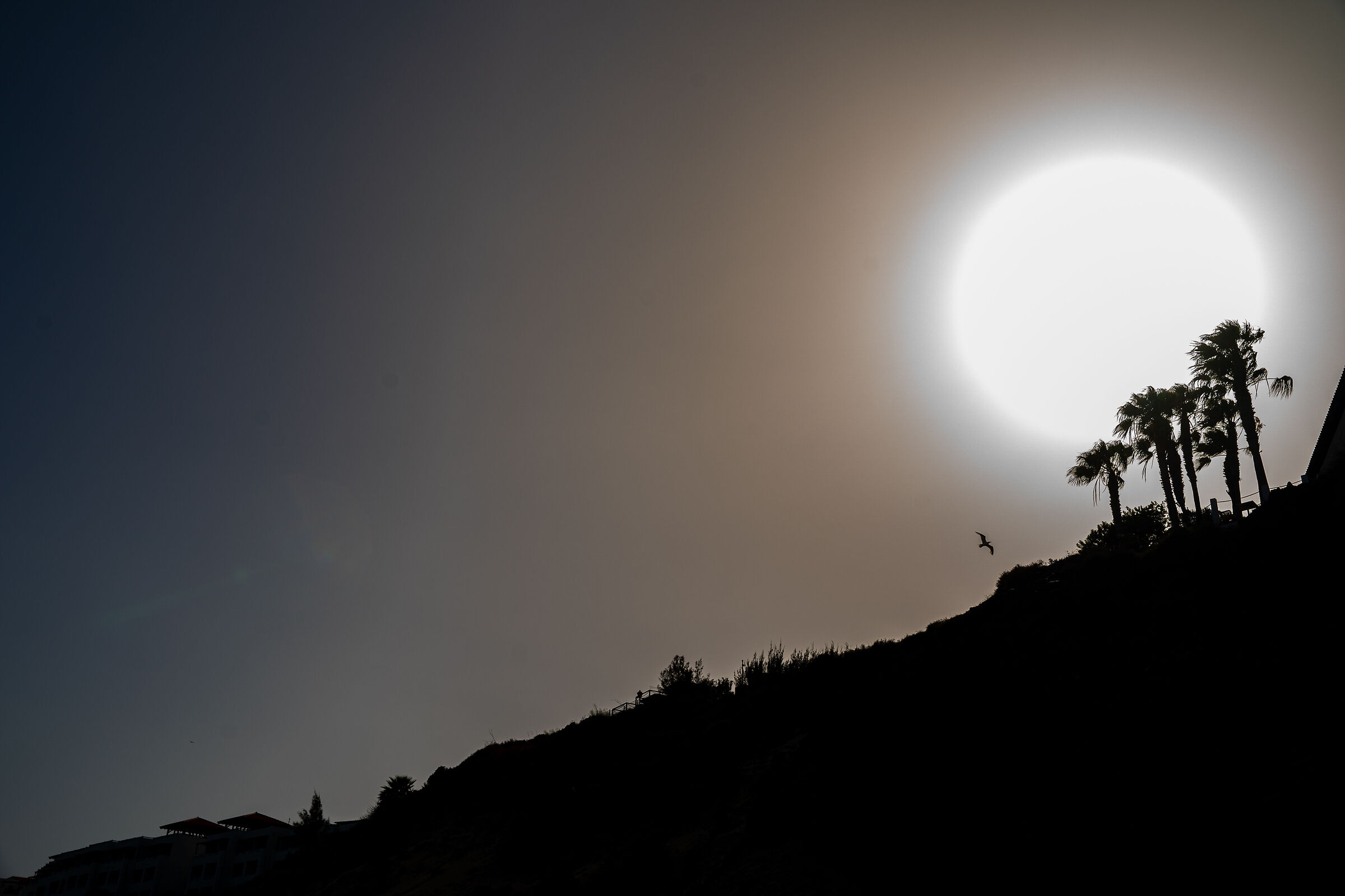 End of day fuerte