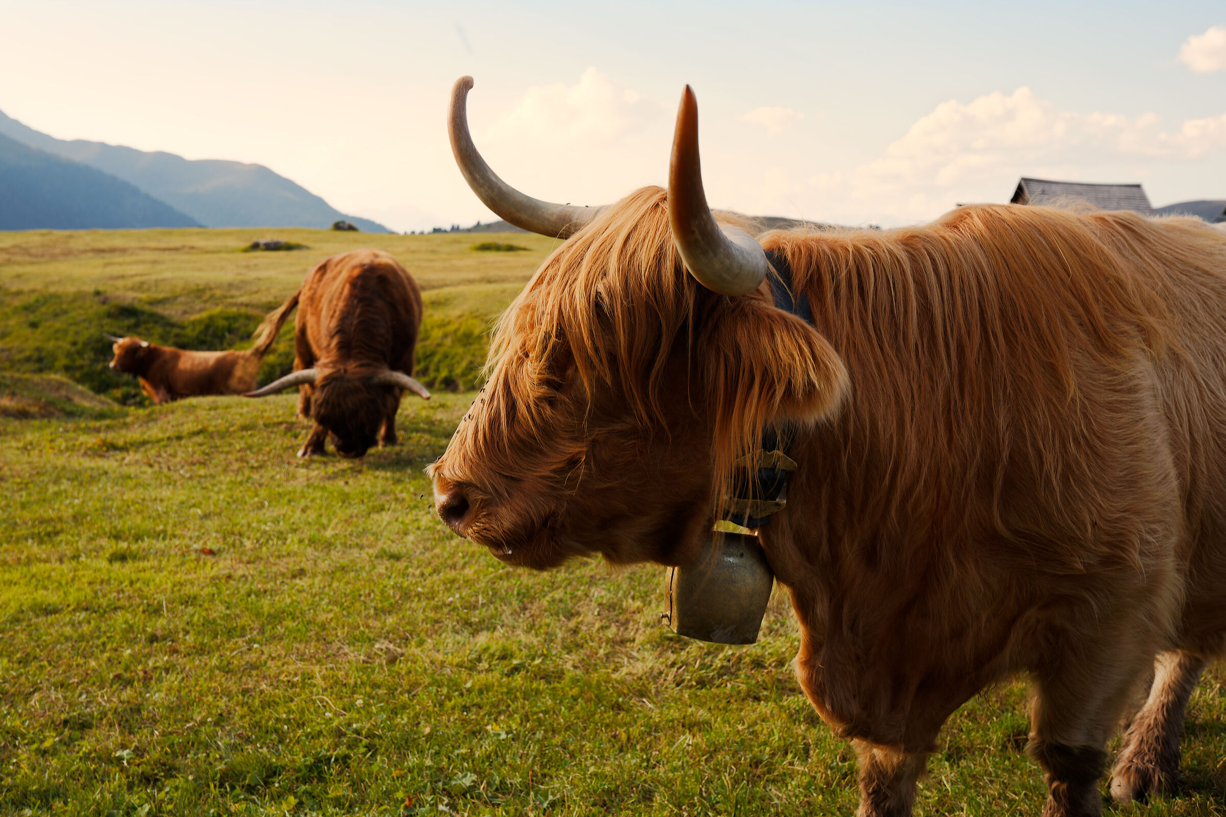 Highlander ai prati del Putia