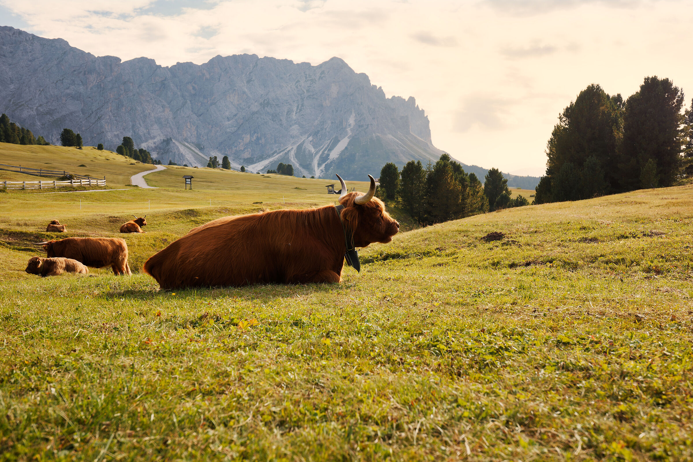 Highlanders al Passo delle Erbe