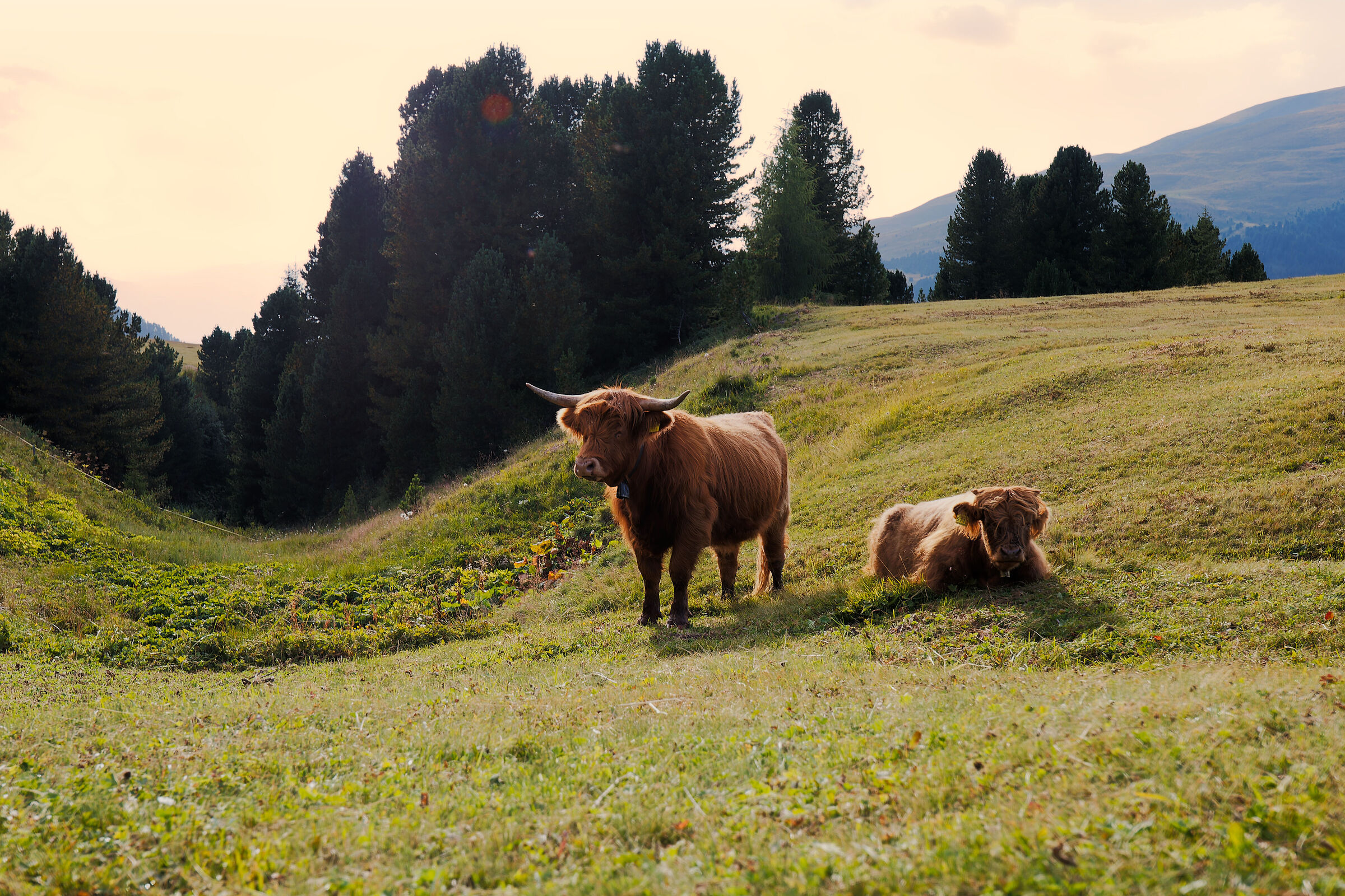 Highlanders al Passo delle Erbe