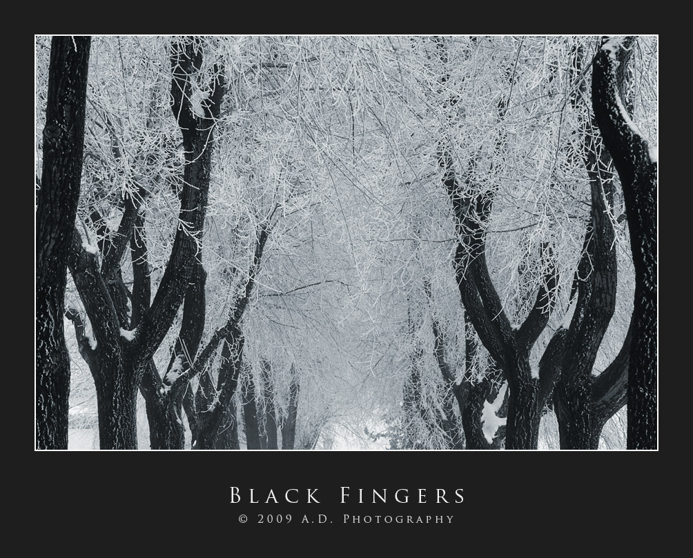 Black Fingers