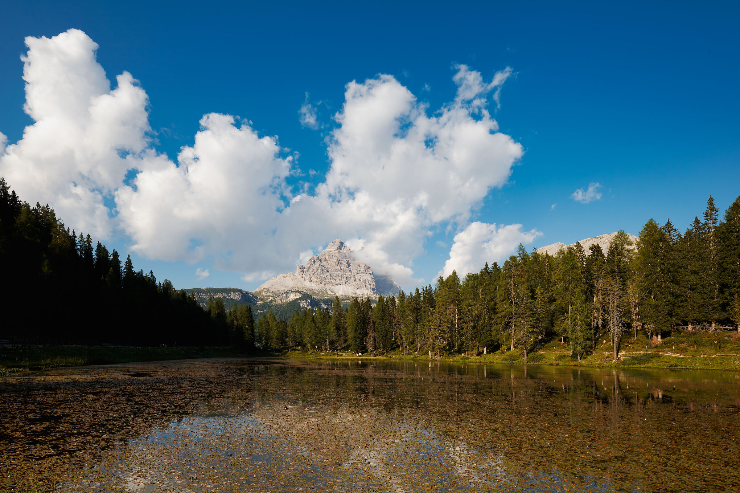 Tre Cime dal Lago Antorno