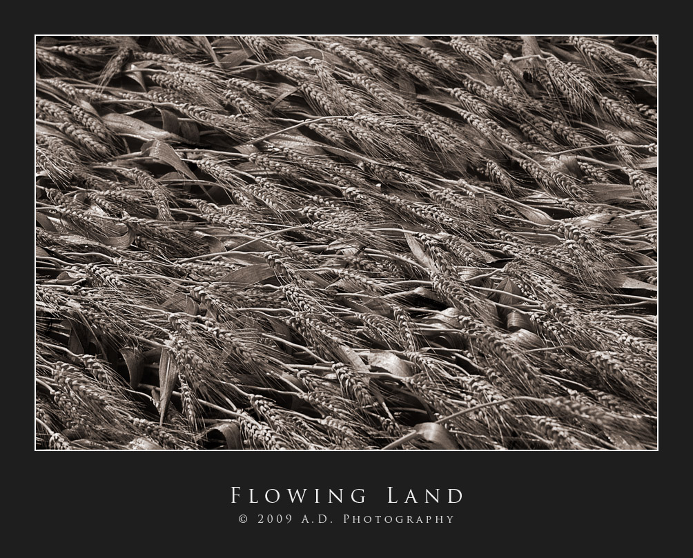 Land Flowing