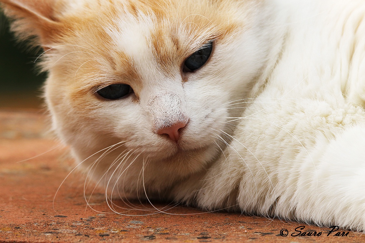 an awakening difficult