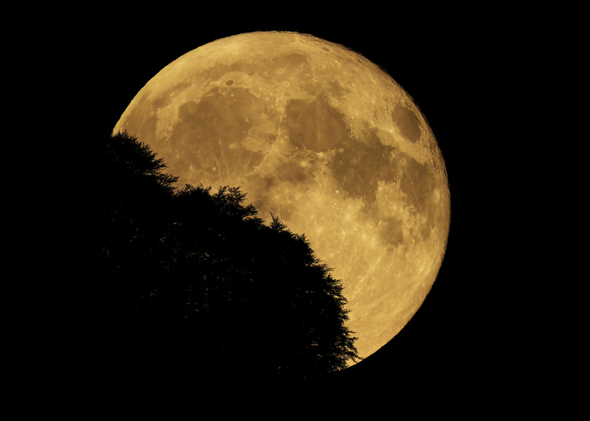 La luna sorge dal Monte Toboga (tn)