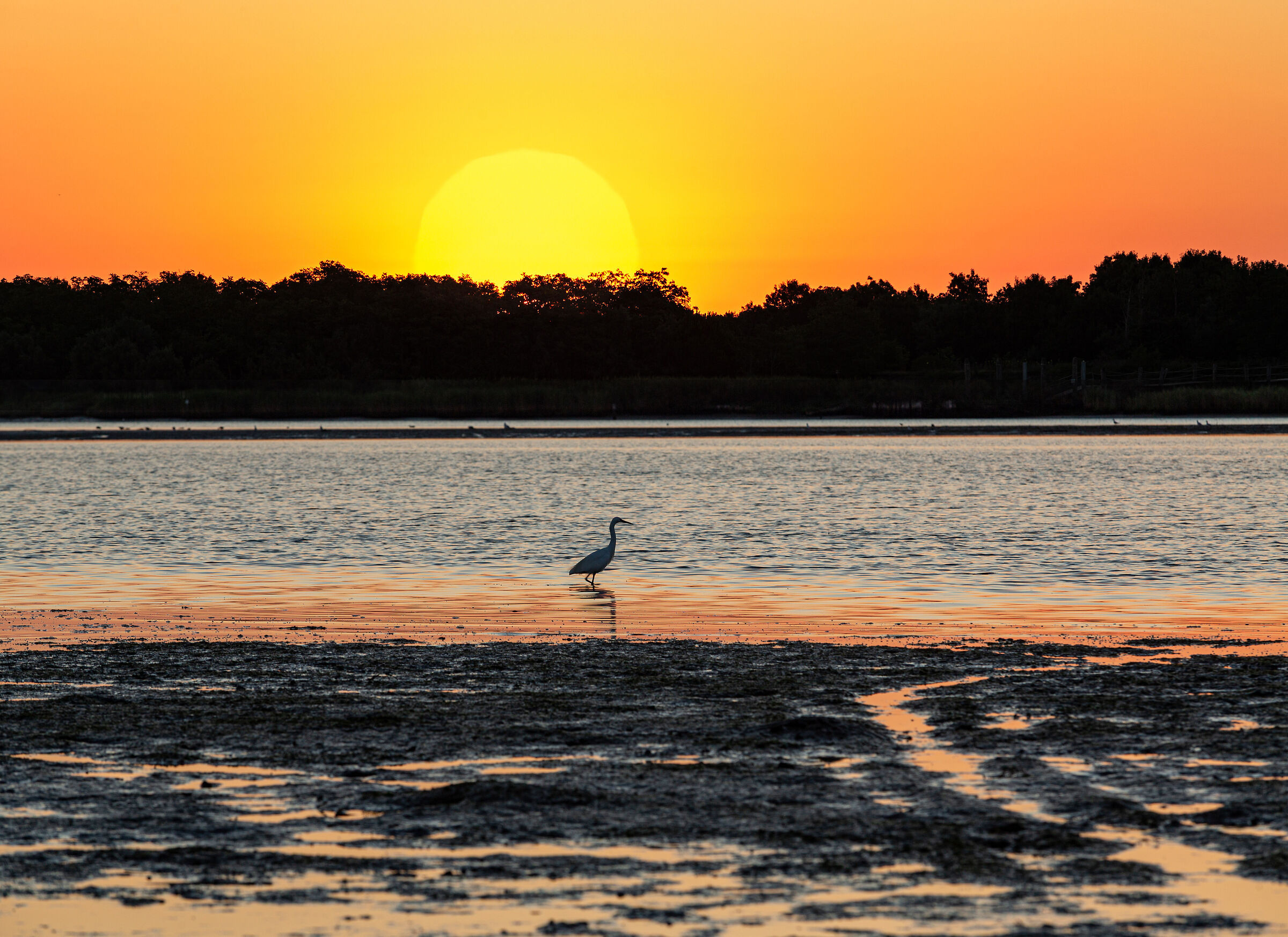 L'alba in laguna, Caorle.