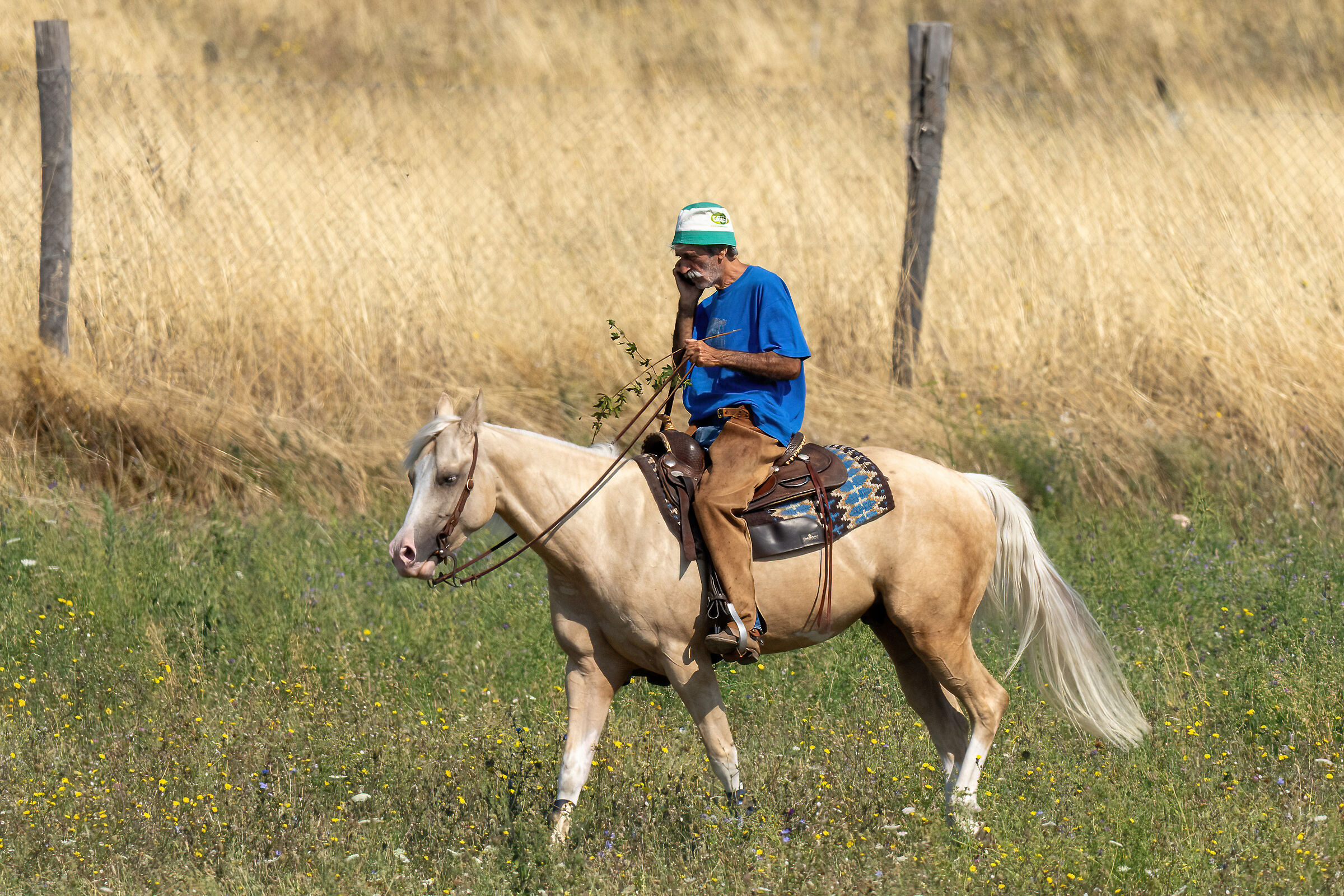 Cellular.. what a passion !!