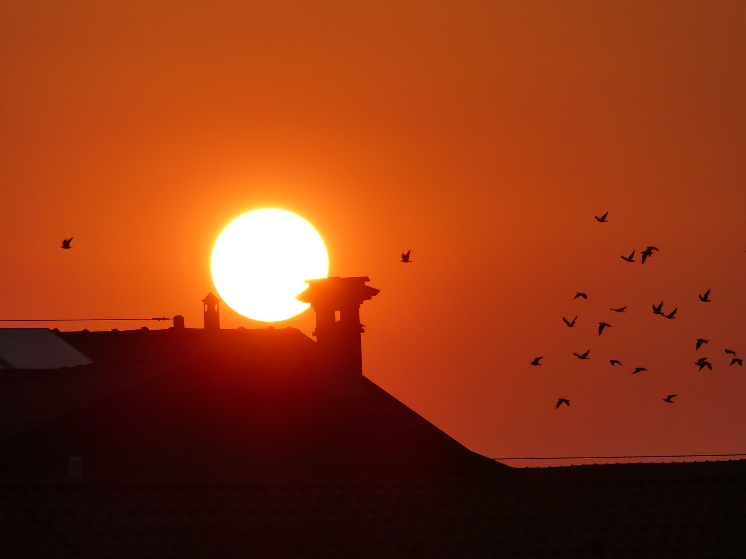 at sunrise