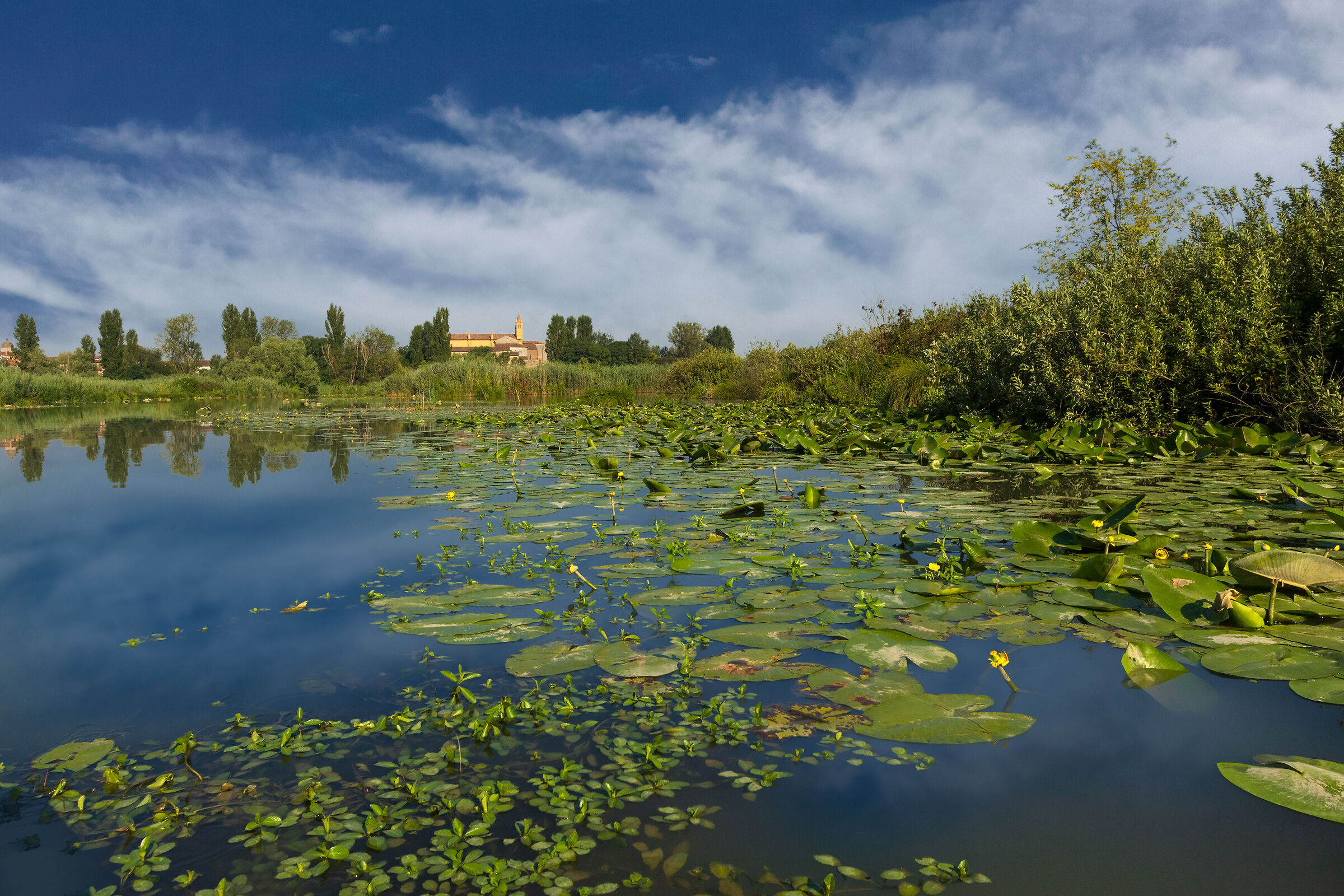 Santuario della Beata Vergine delle Grazie