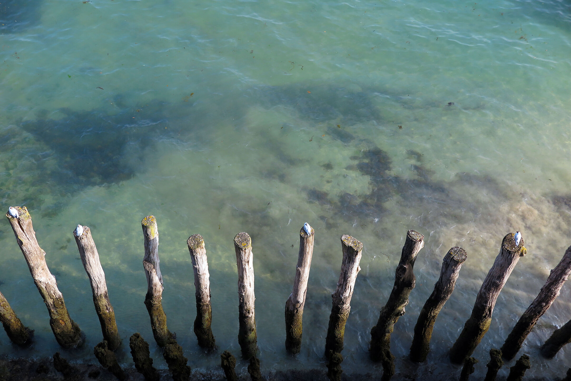 Saint-Malò 1 - Francia