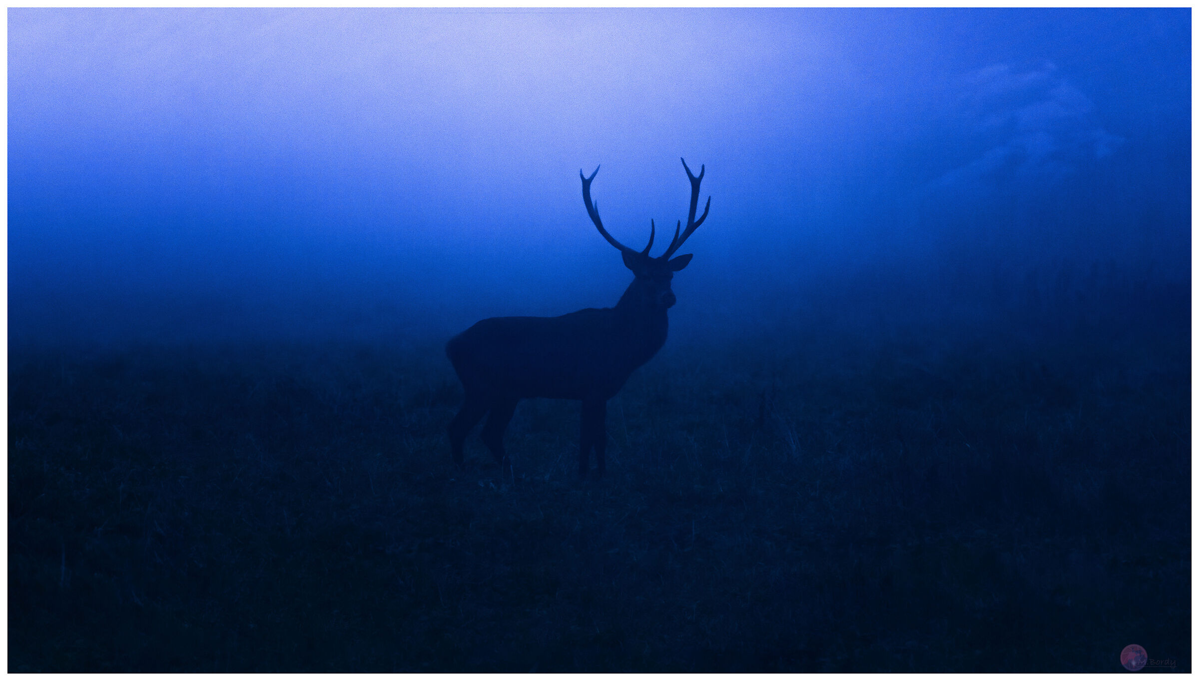 Oltre la nebbia