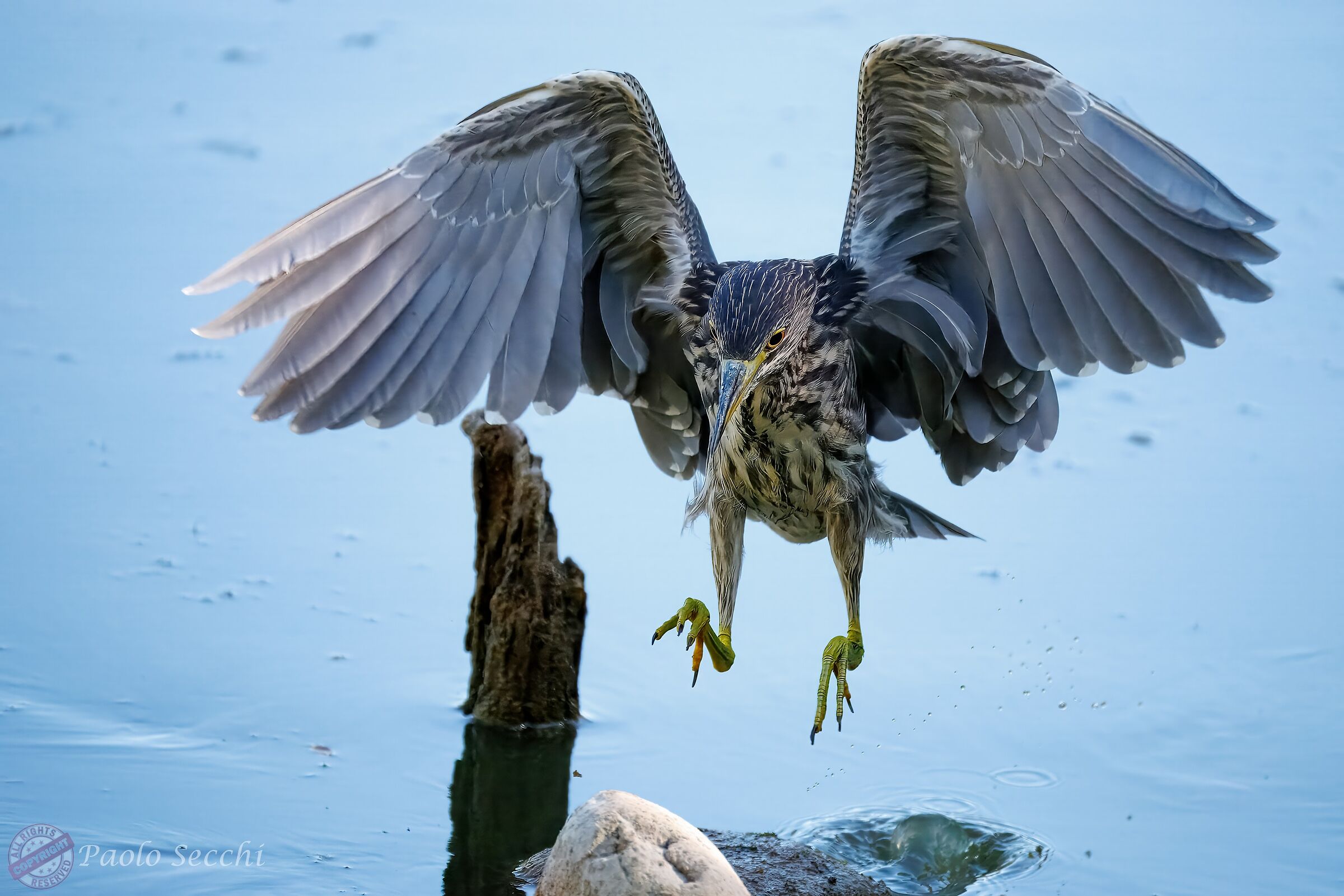 Concentrated about landing