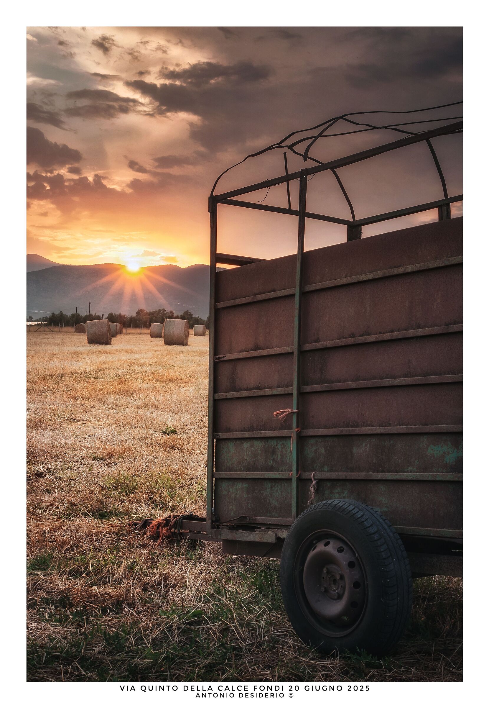 The cart in the field
