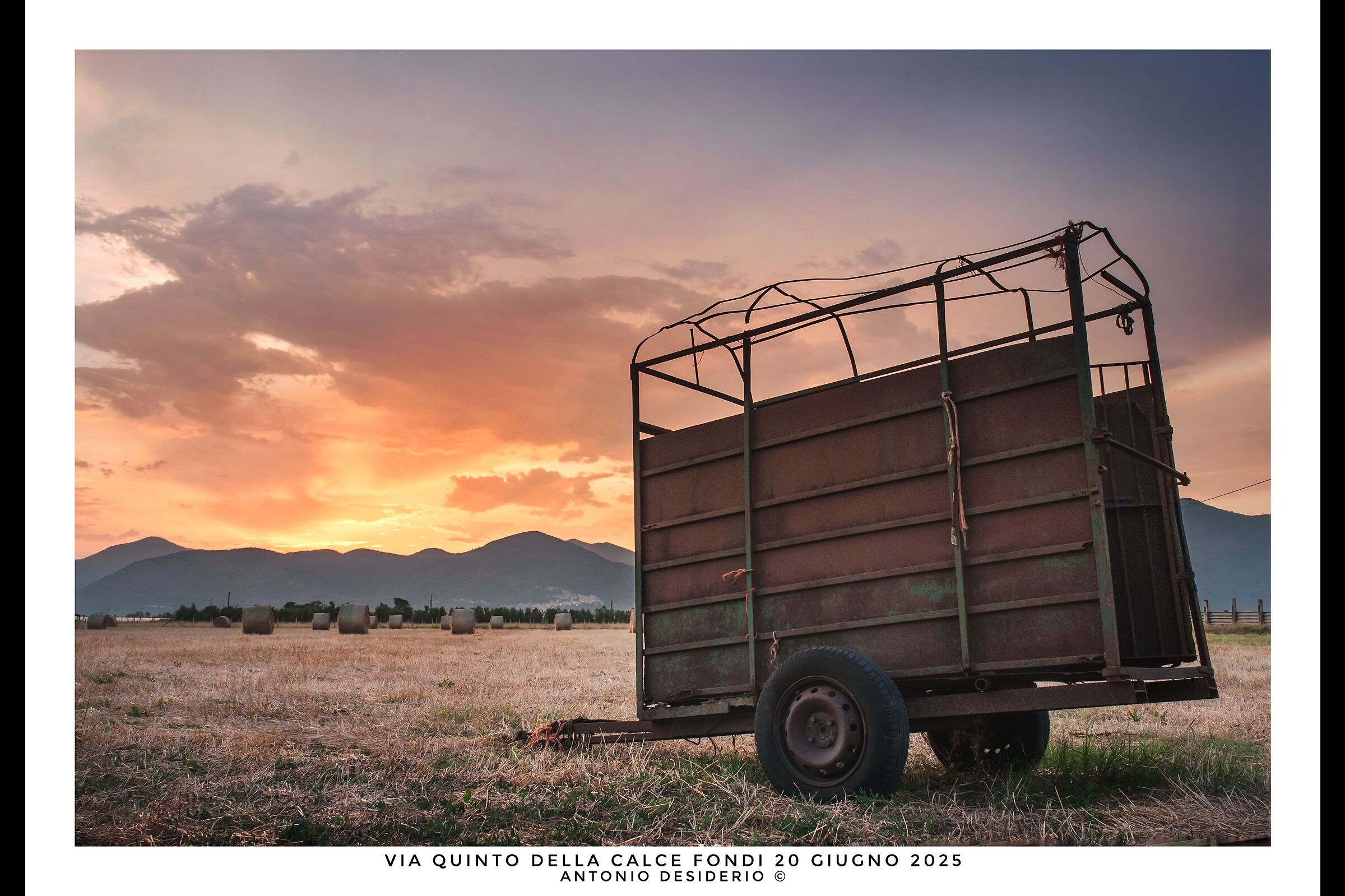 The cart in the field