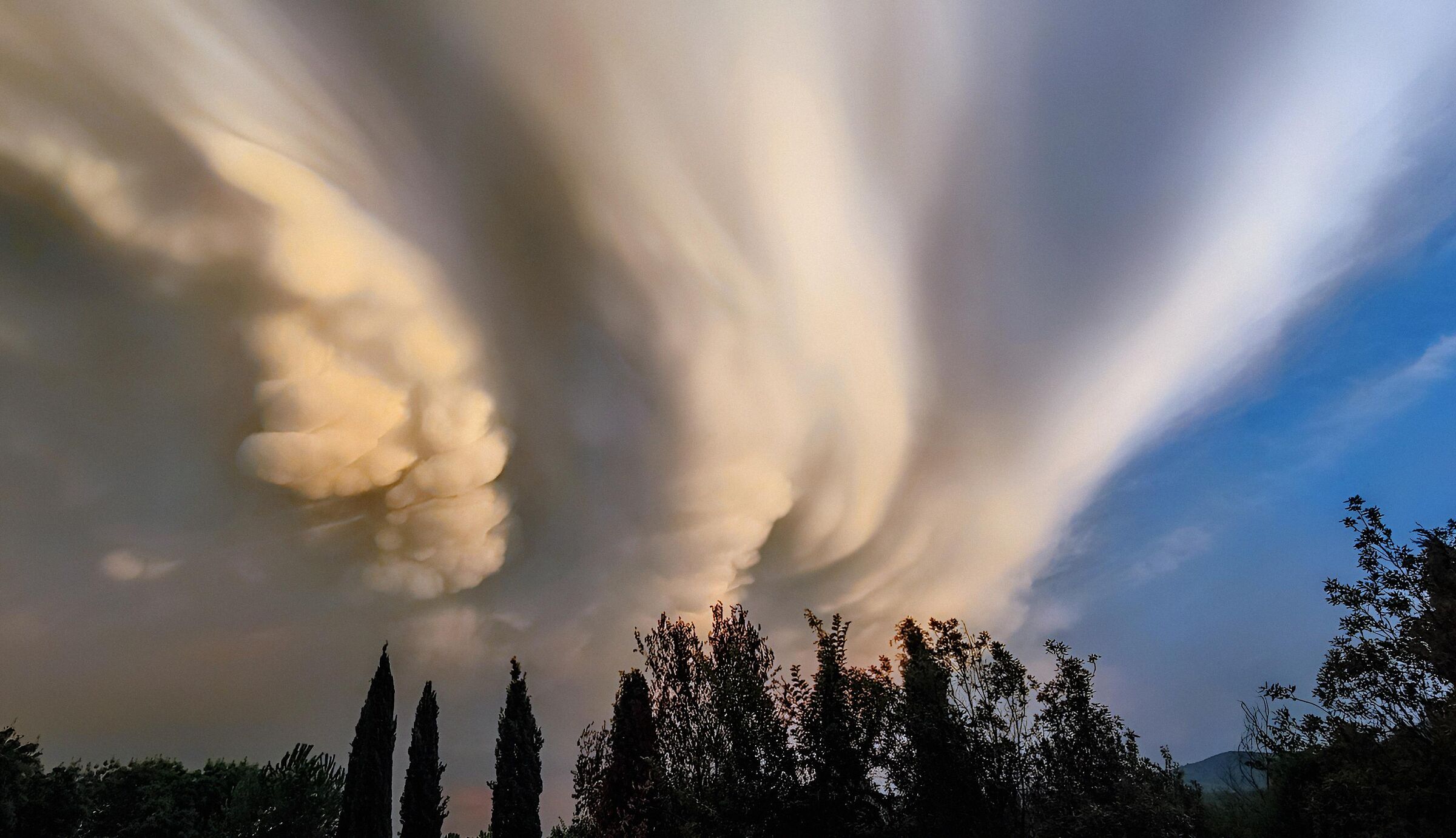 Like clouds created by trees