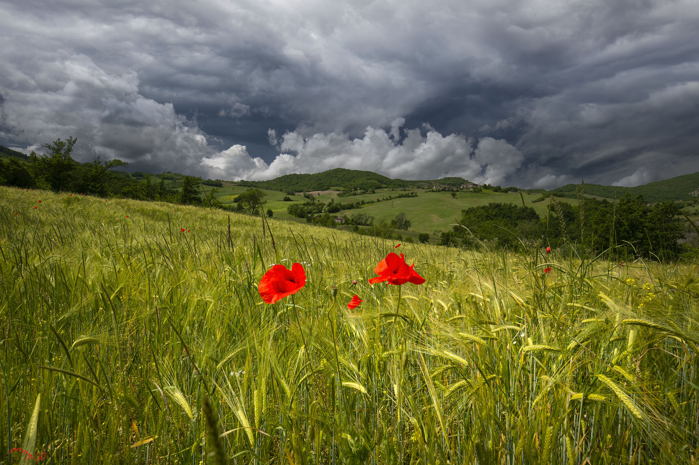 A spring that is too fast