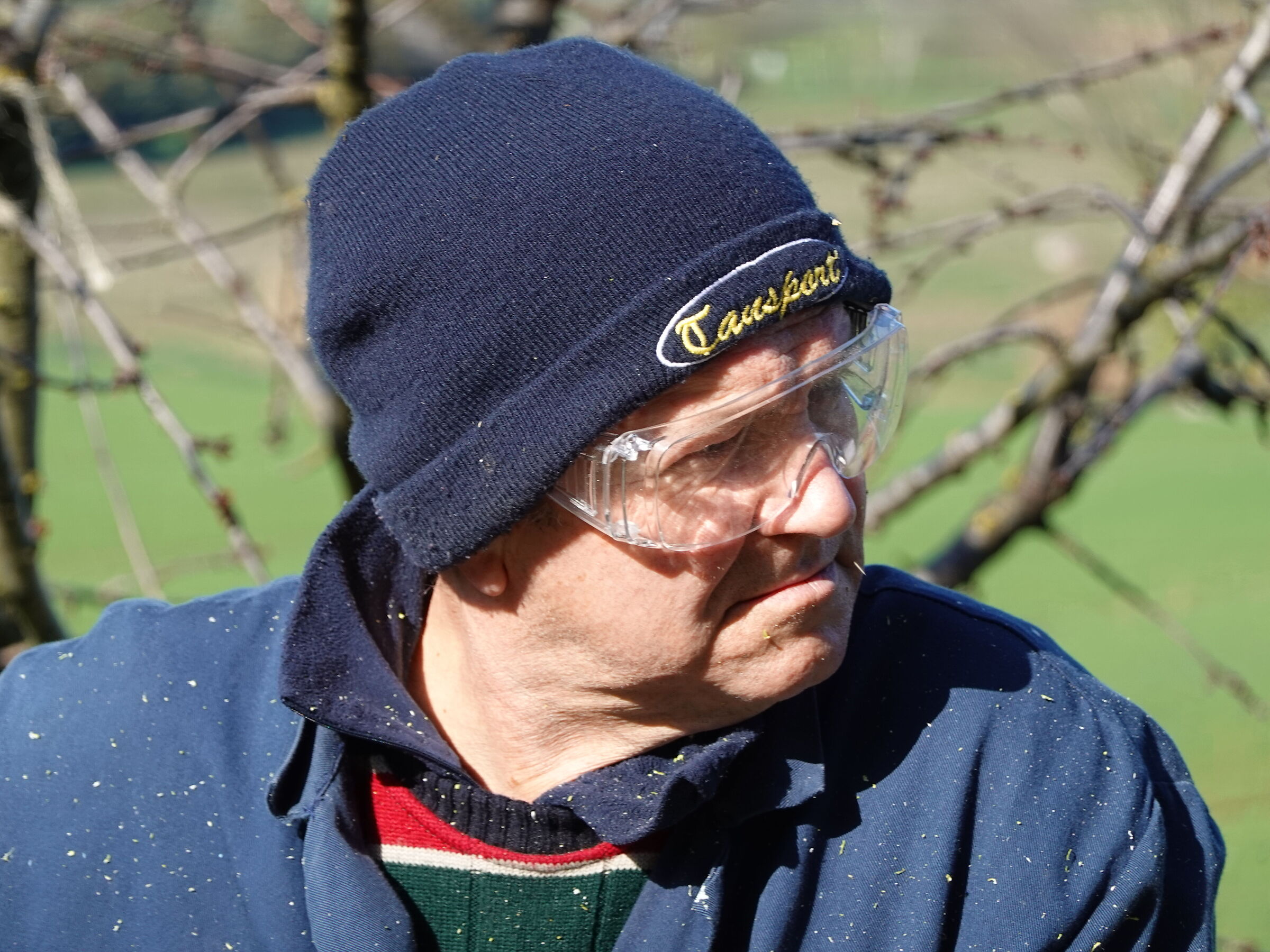 The woodcutter
