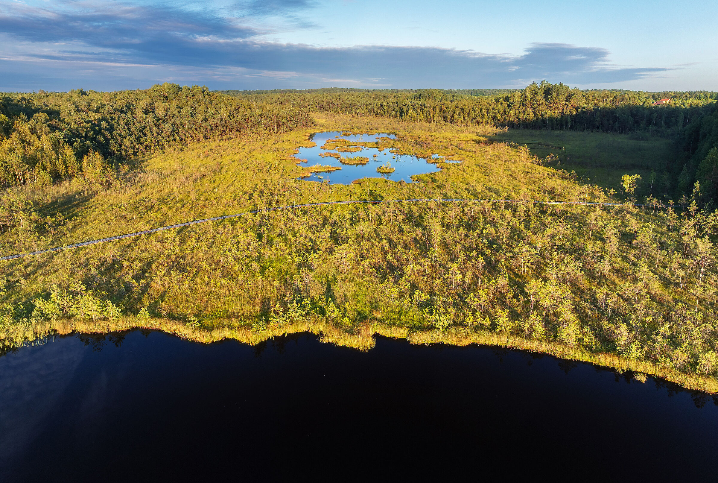 Swamp in Lithuania