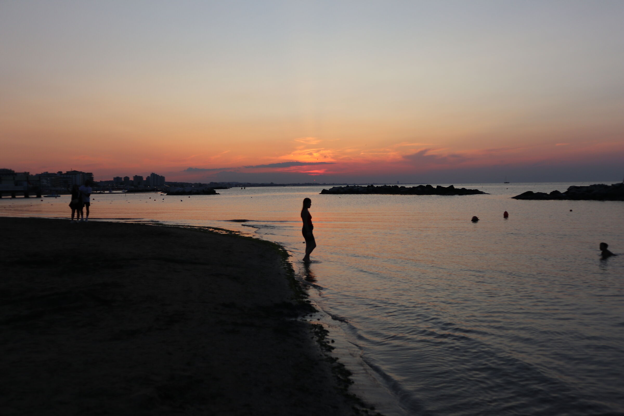 Untitled Photo