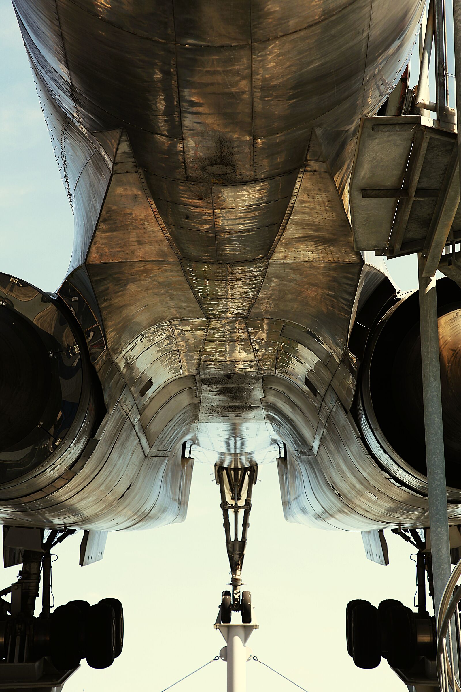 Il ventre del gigante