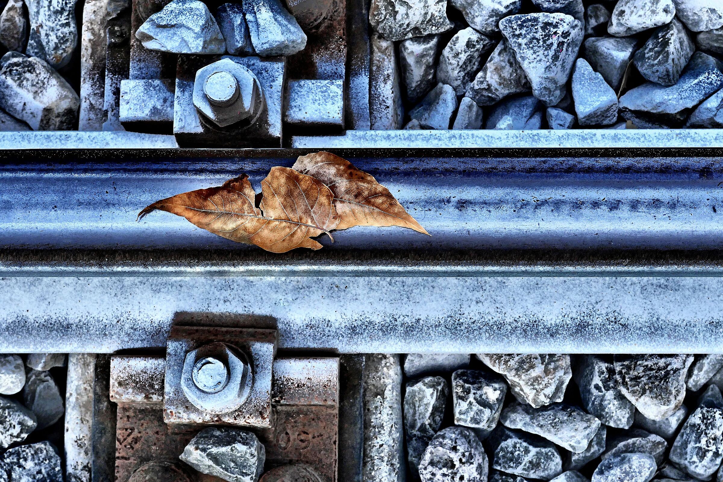 Leaves on line