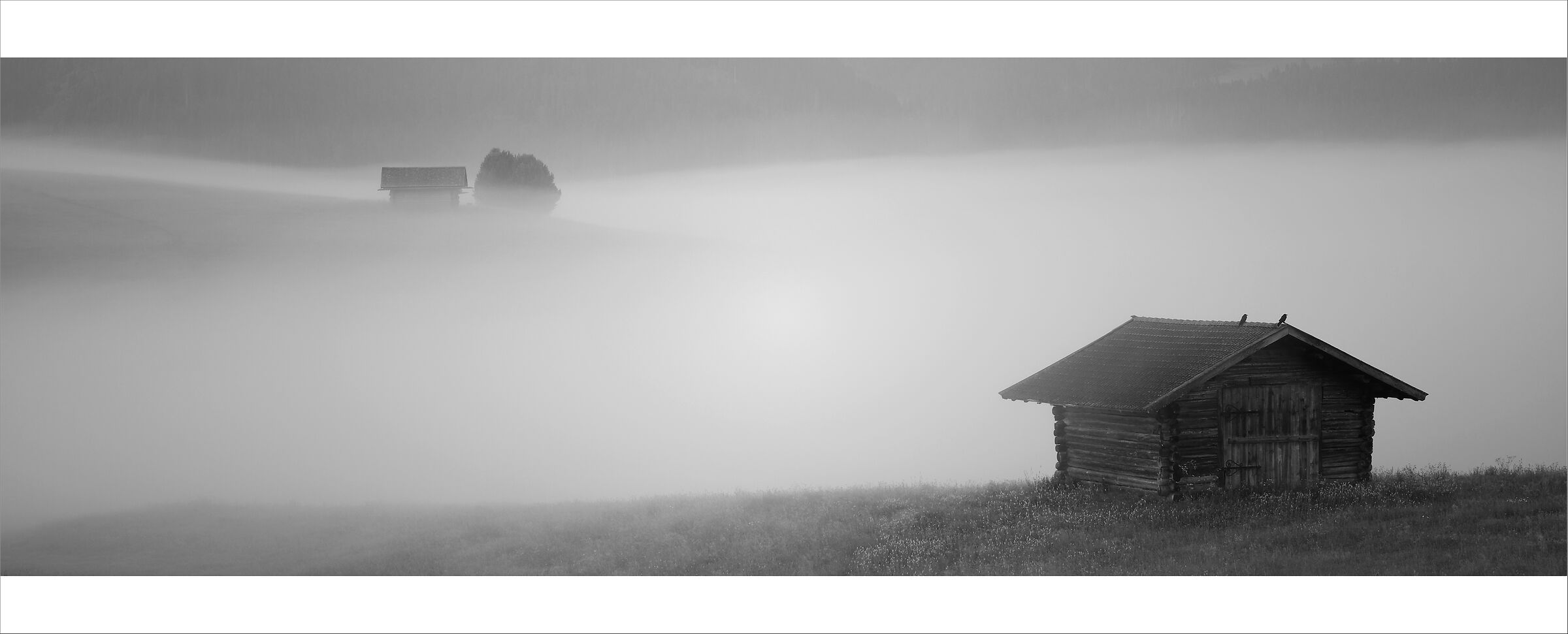 -casetta alpina nella nebbia-