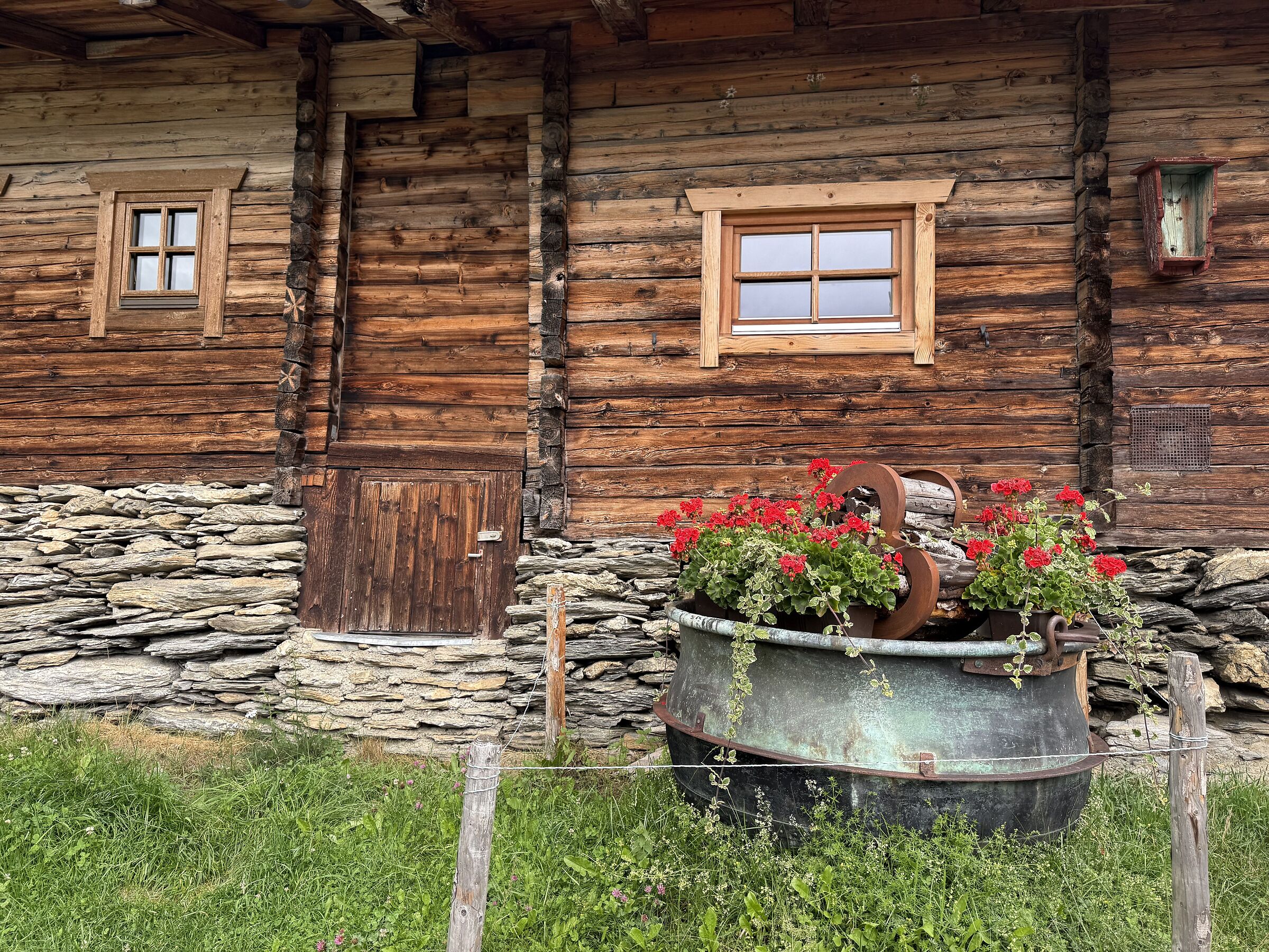 Vitalpina