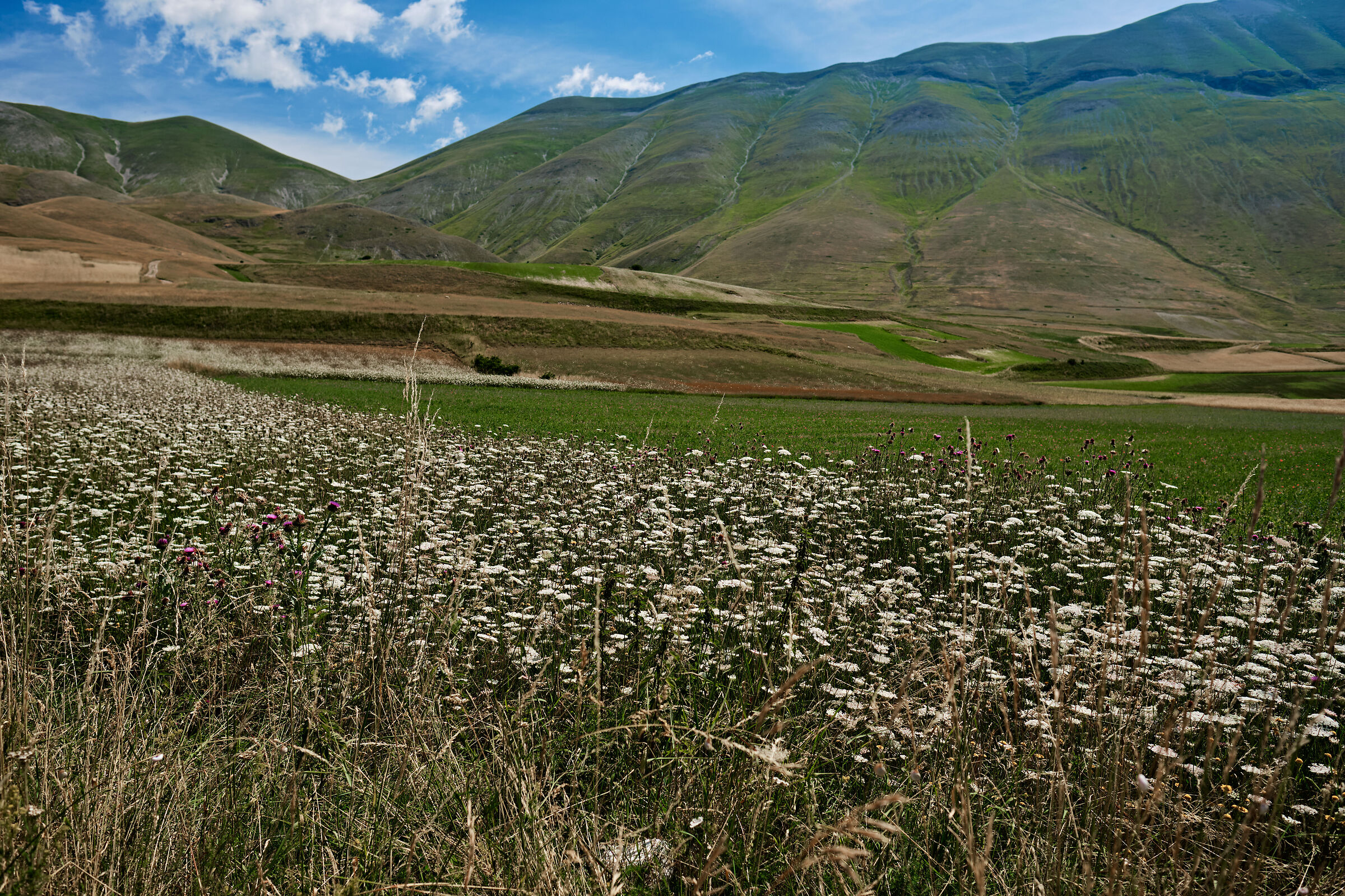 Castelluccio di Norcia