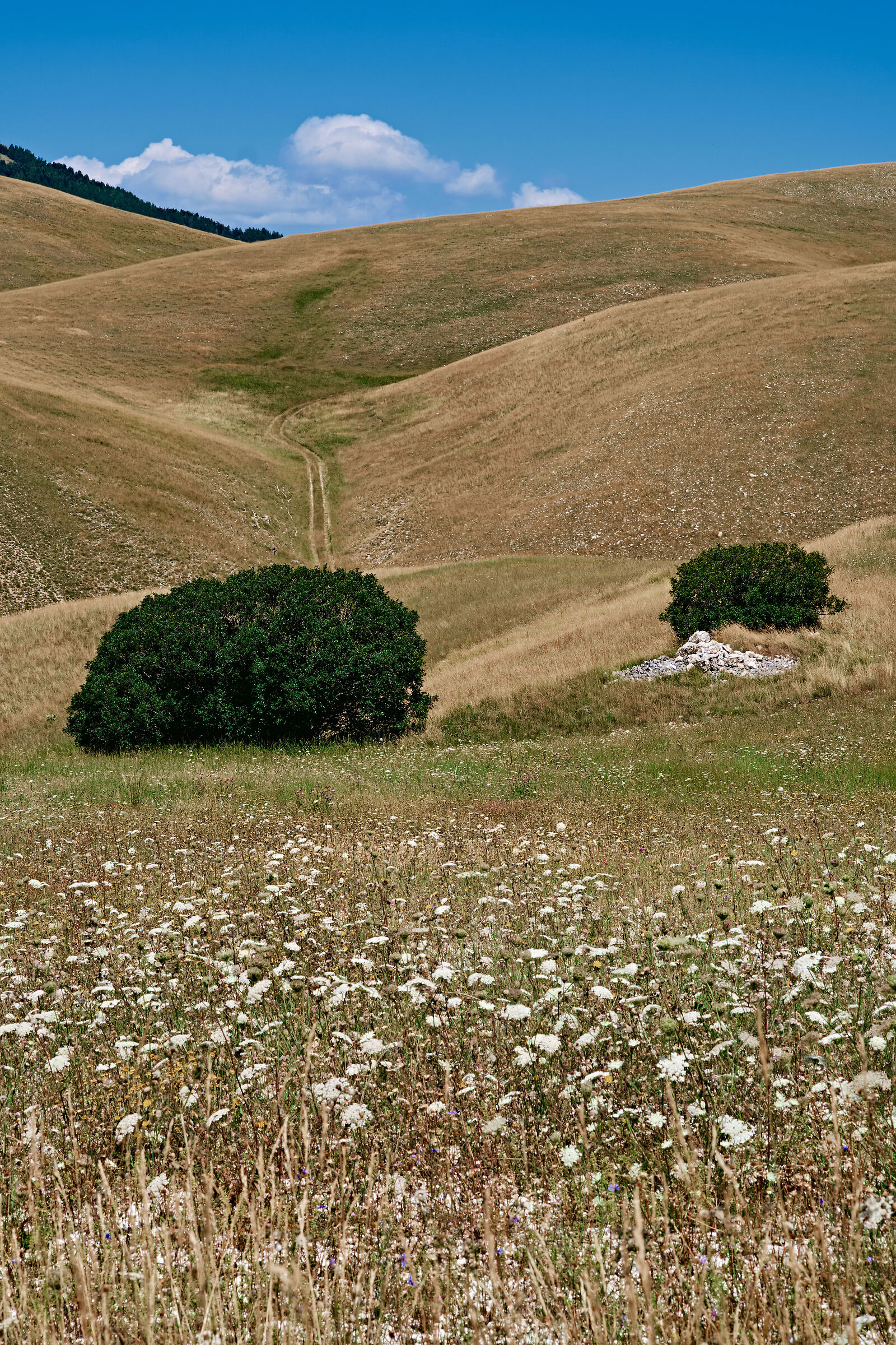 Castelluccio di Norcia