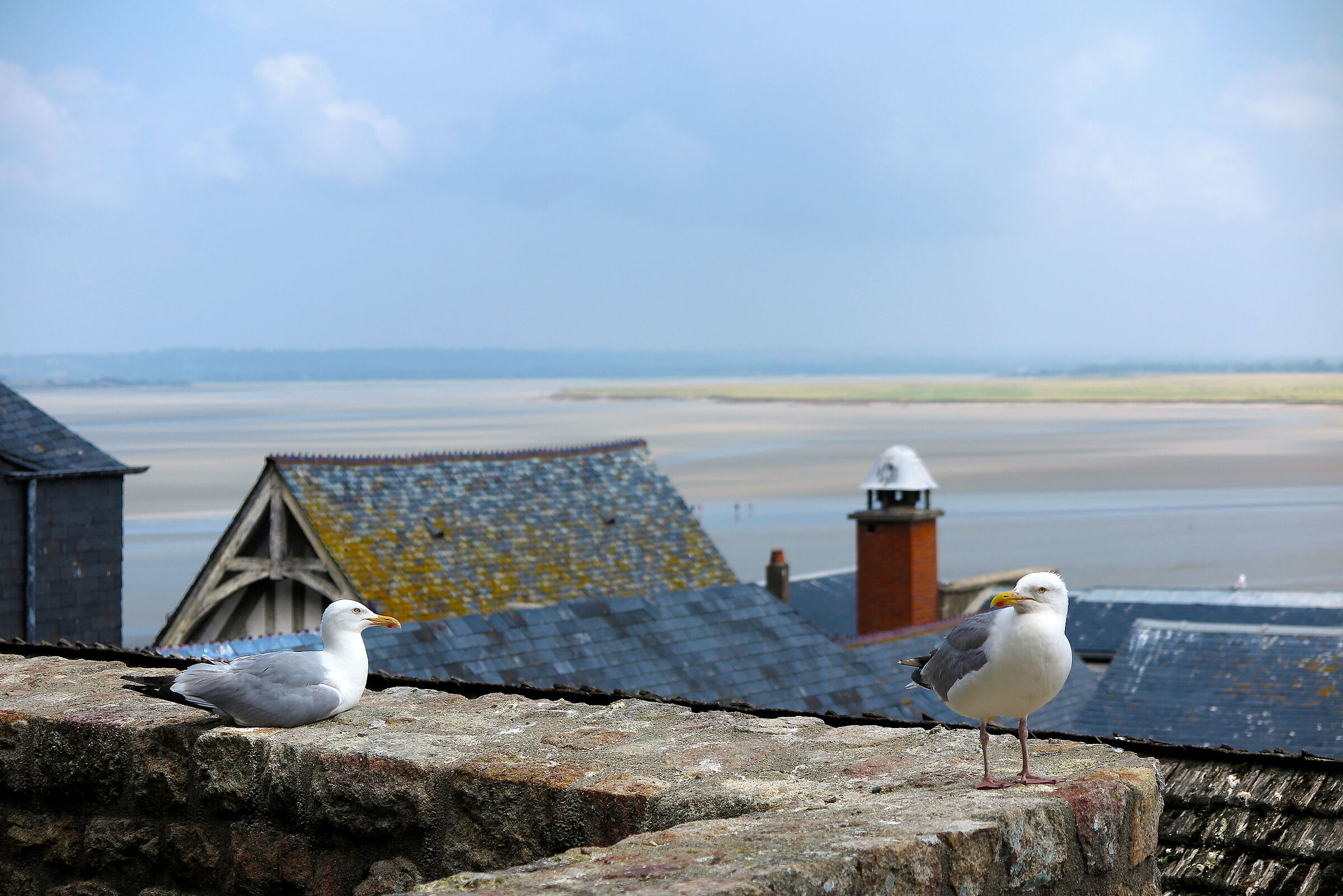 Mont-Saint-Michel 2