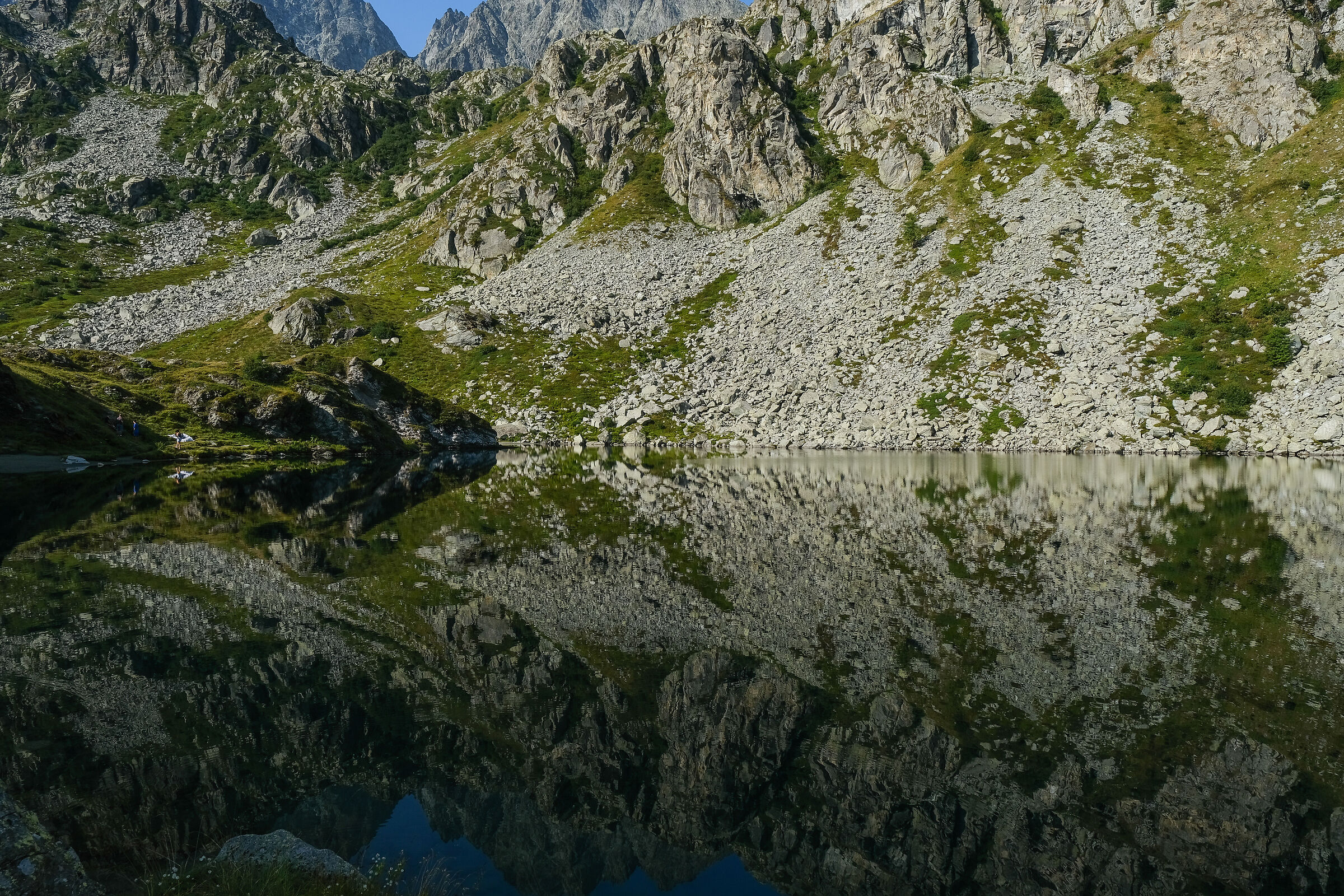 Riflessi